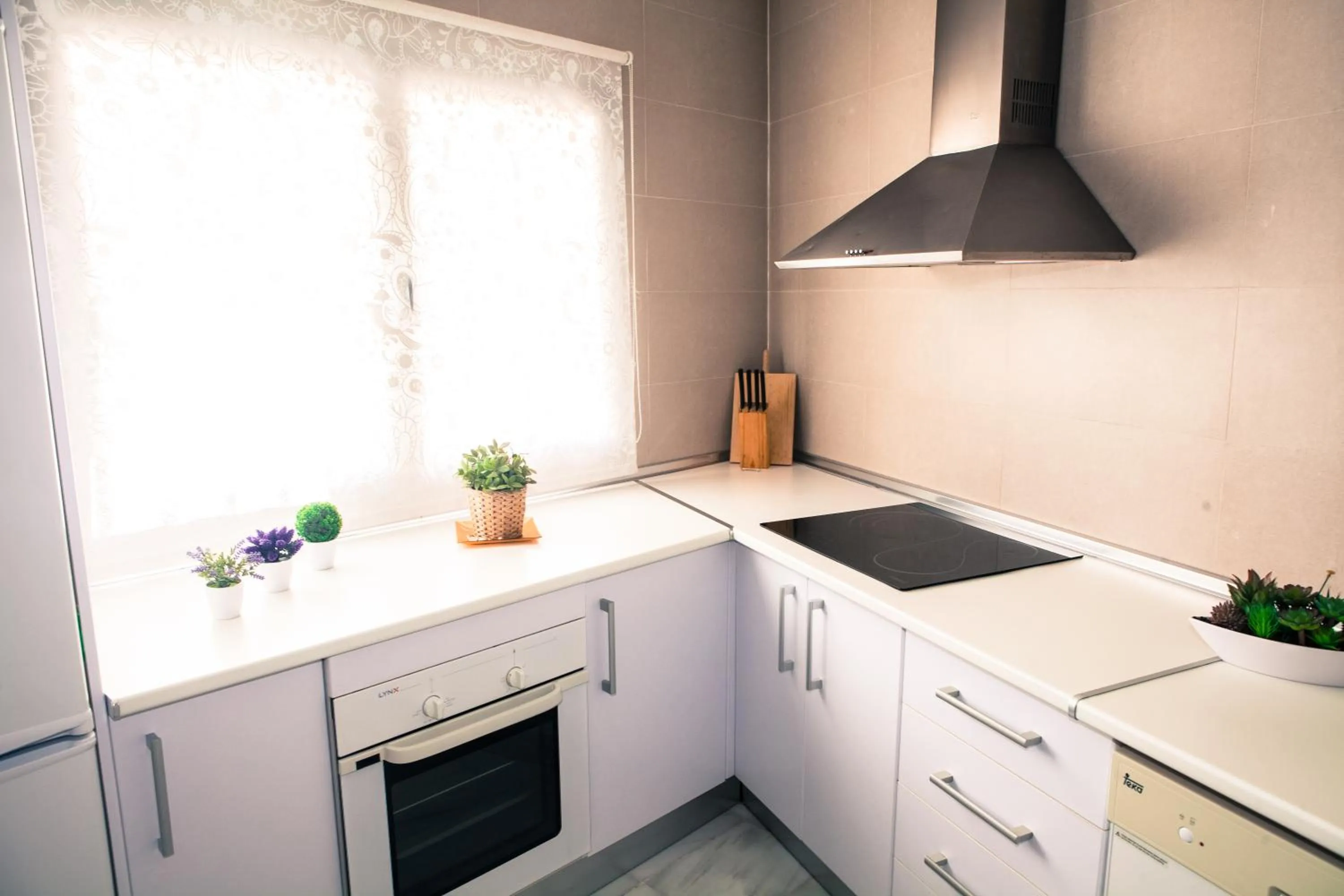 Kitchen or kitchenette in Palacio de Luja