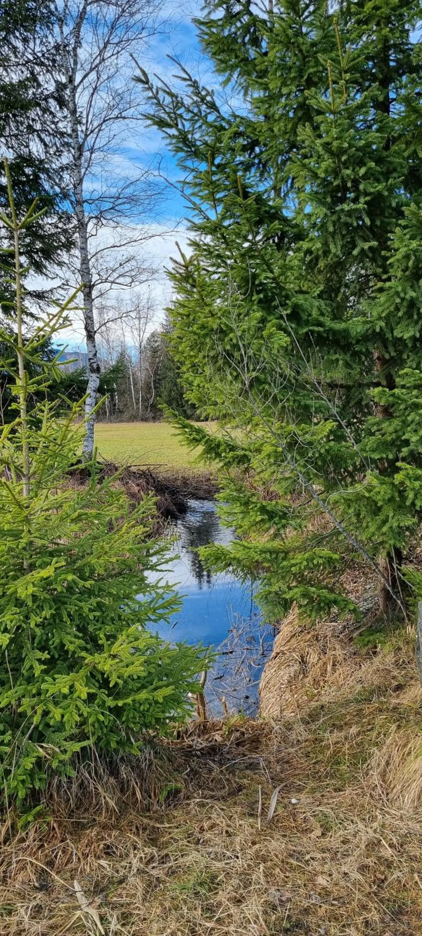 Nearby landmark in Boutique Hotel Angerer