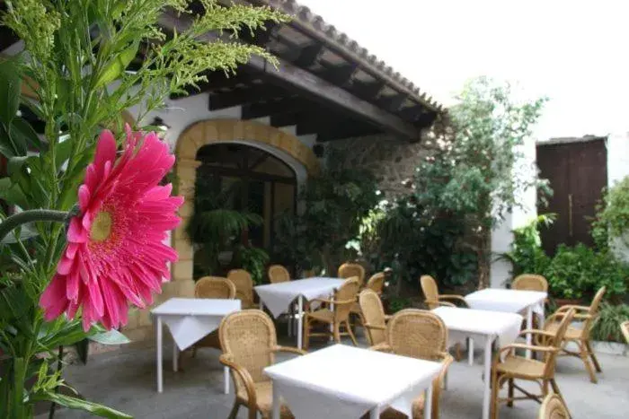 Hostal Torre de Guzmán Hostal Torre de Guzmán