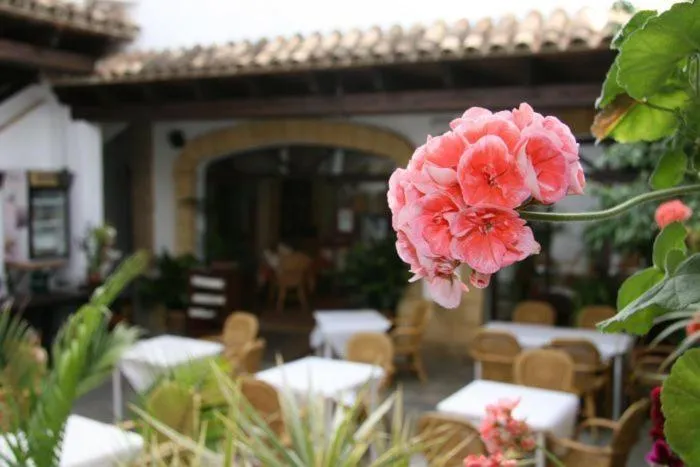 Restaurant/places to eat in Hostal Torre de Guzmán