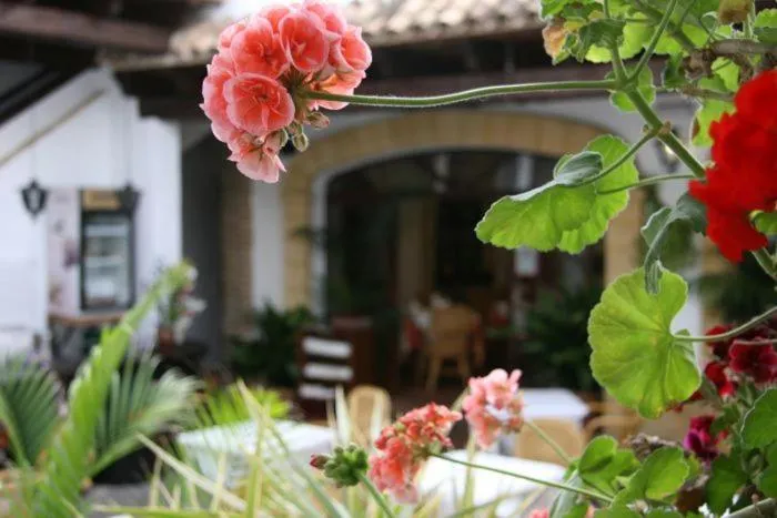 Restaurant/places to eat in Hostal Torre de Guzmán