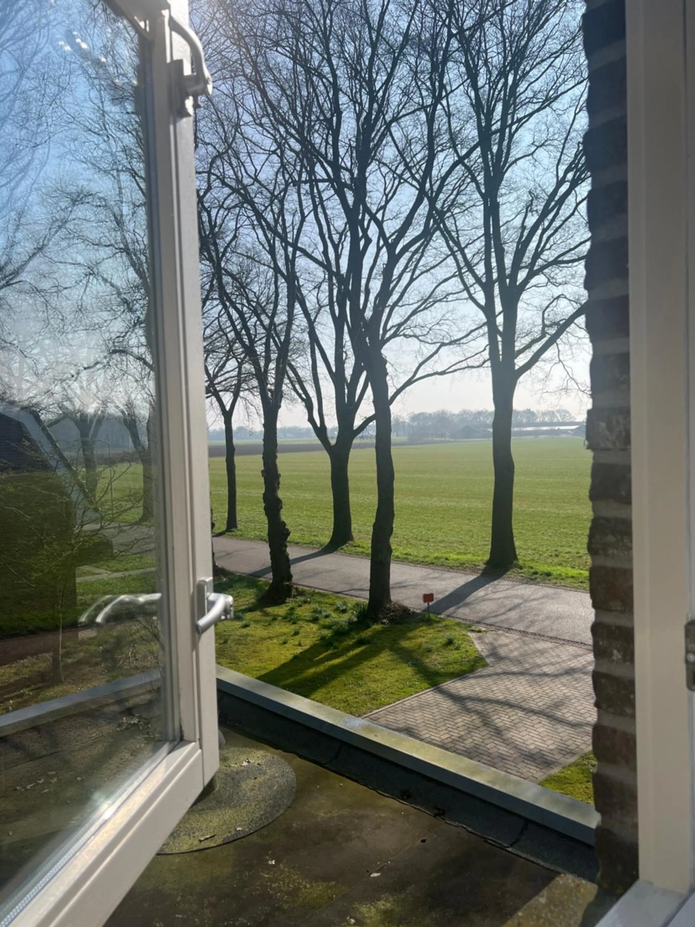 Garden view in Brinkesdiek