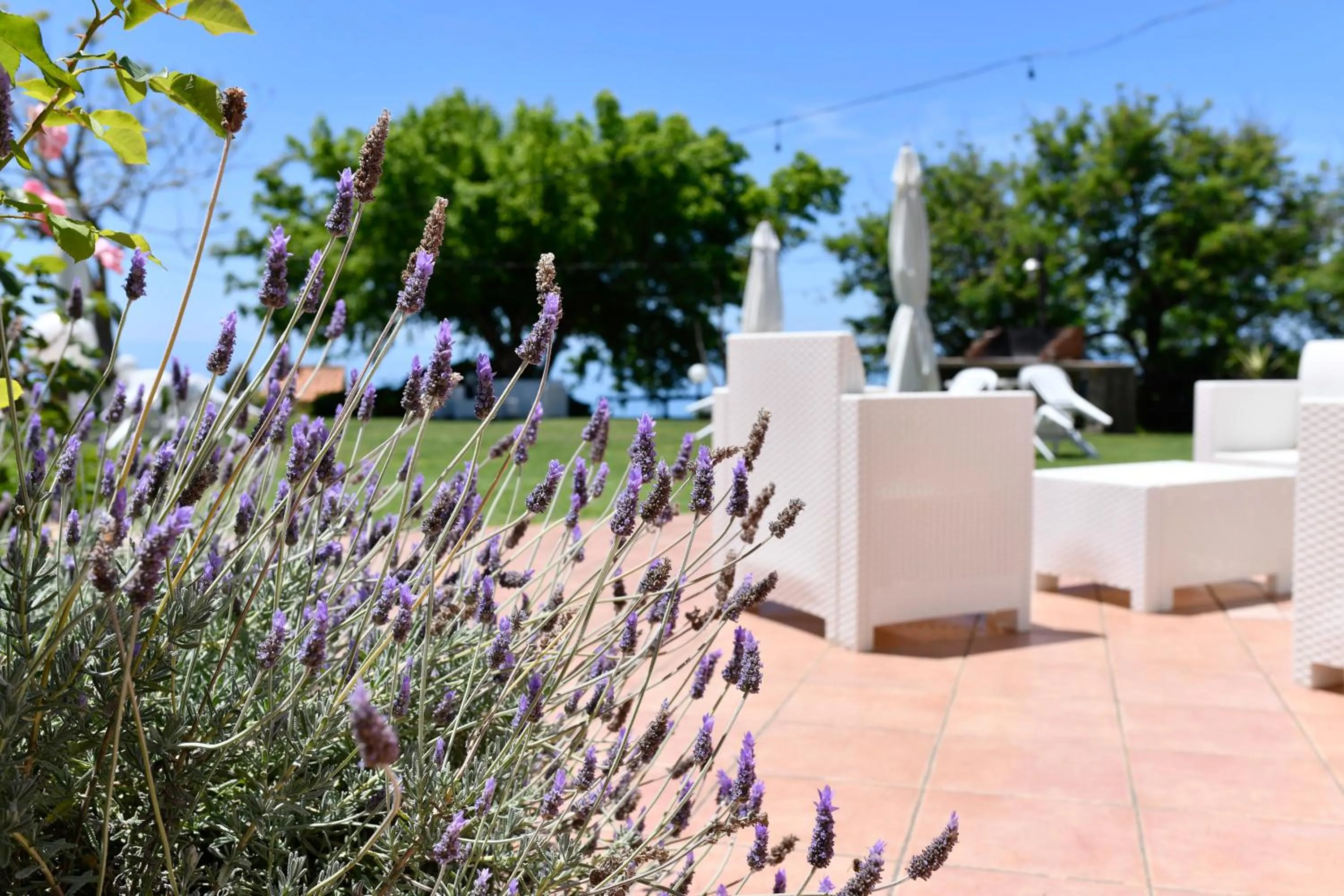 Garden in Villa Catalano