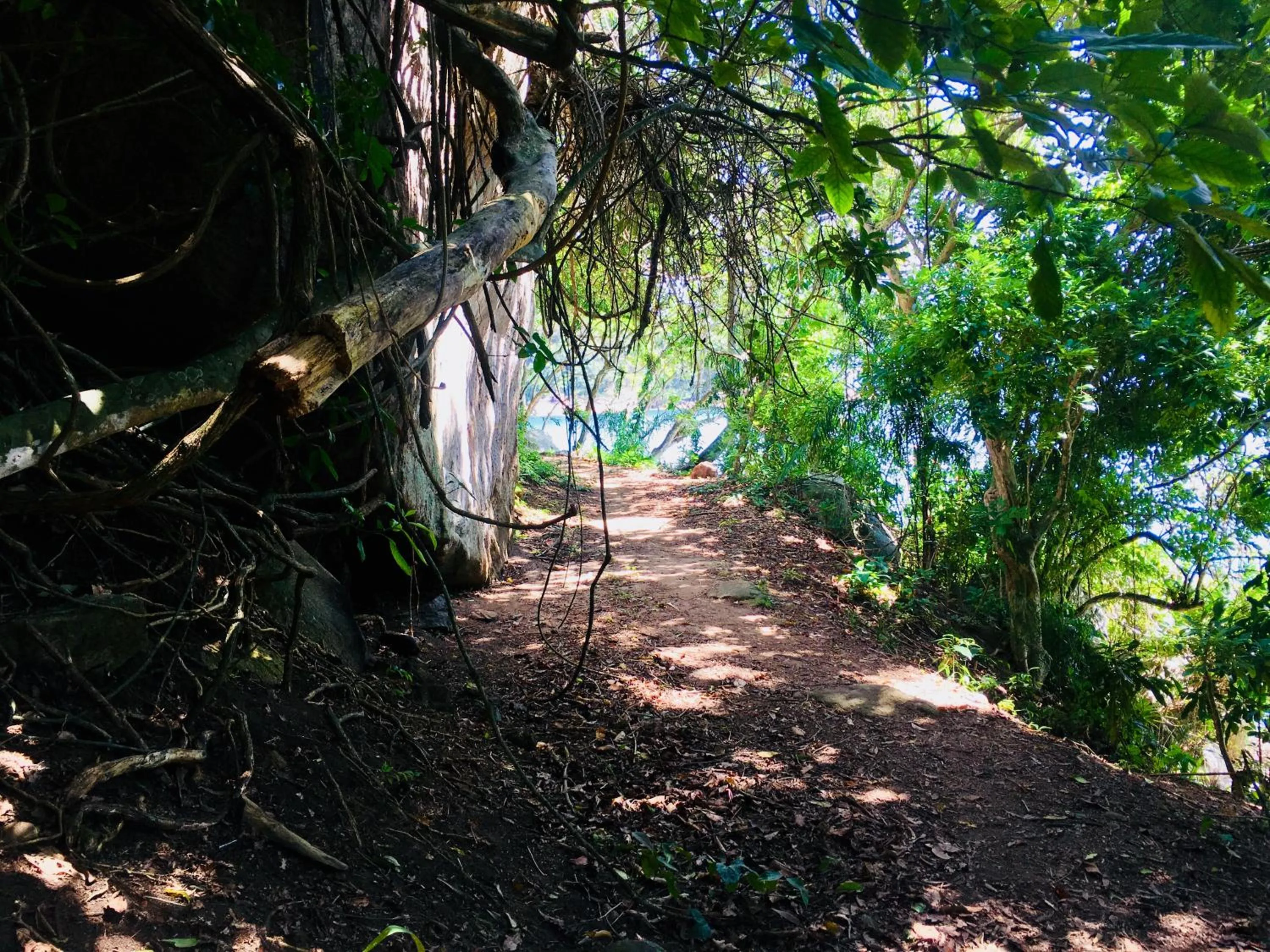 Natural landscape in Pousada Sobre As Ondas de Picinguaba