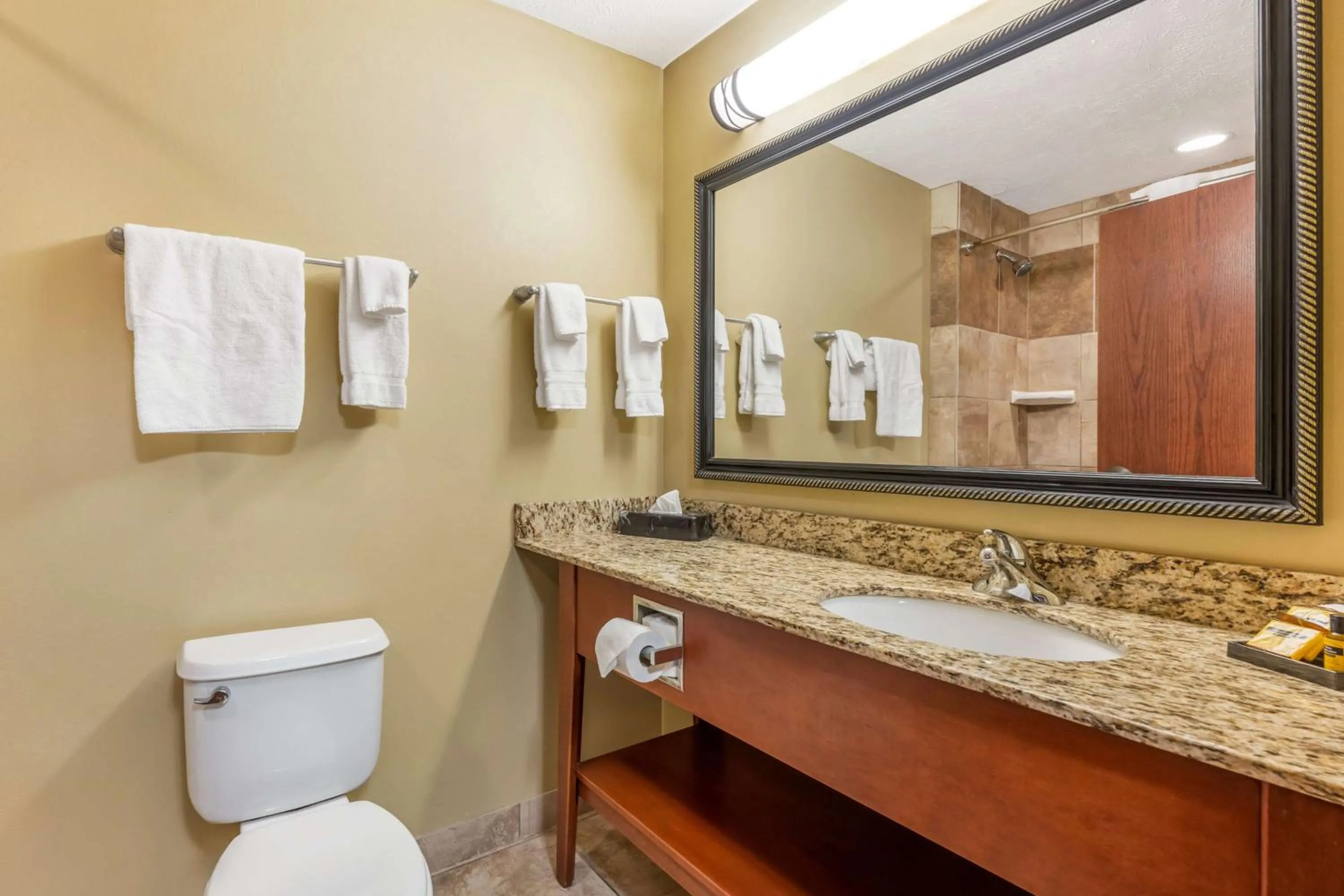 Bathroom in Best Western Plus Grand Island Inn and Suites