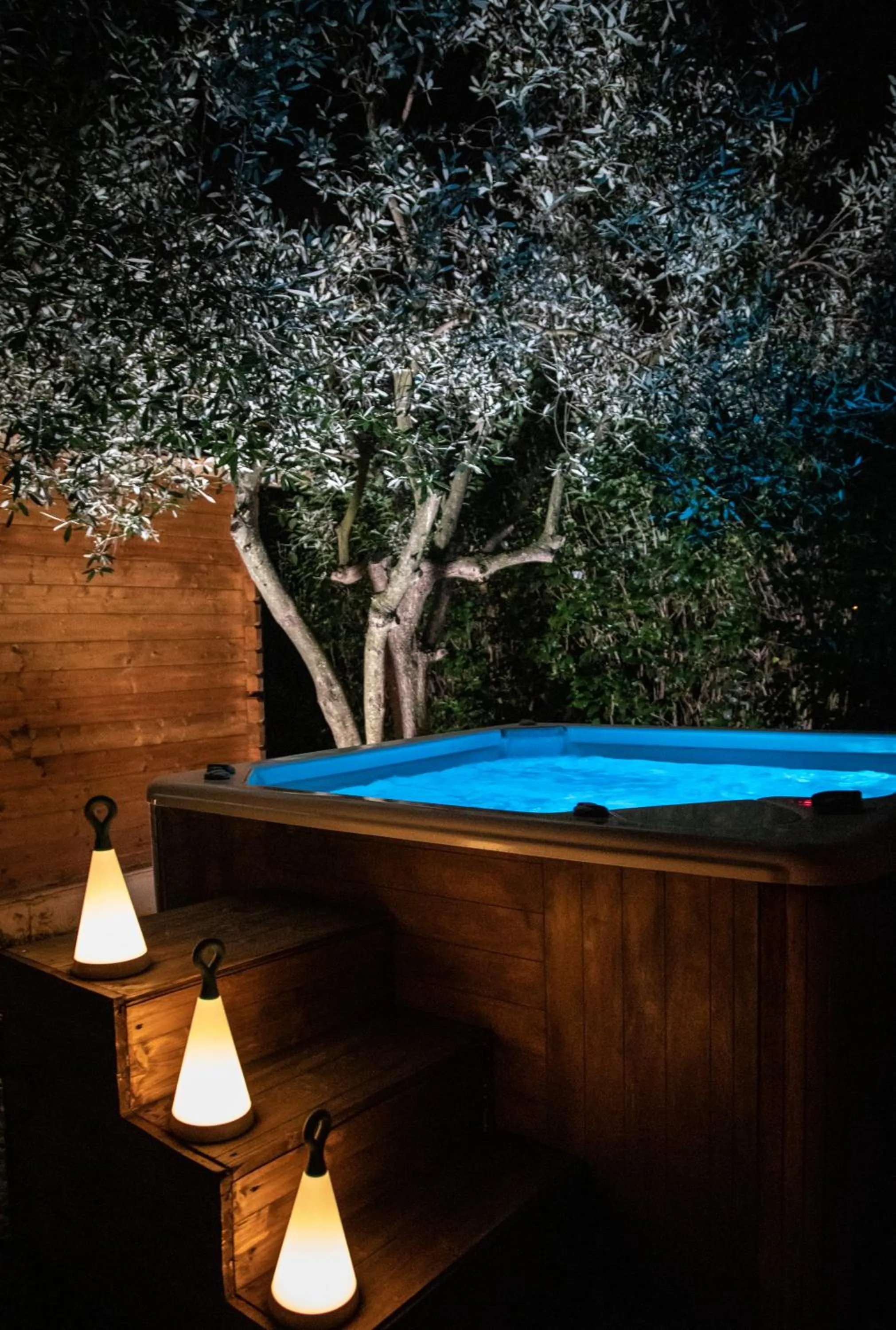 Night in Hotel Natura Vilanija