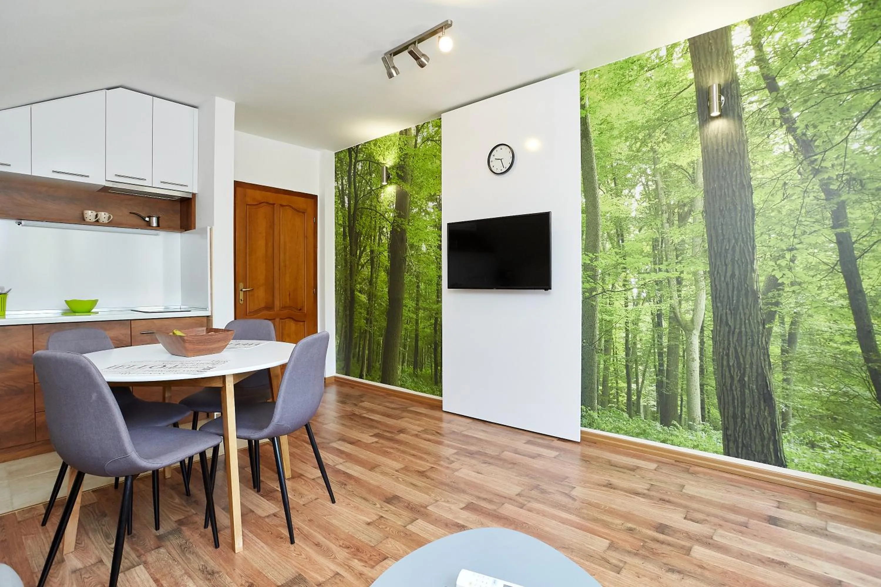 TV and multimedia in ŽUPAN apartmani