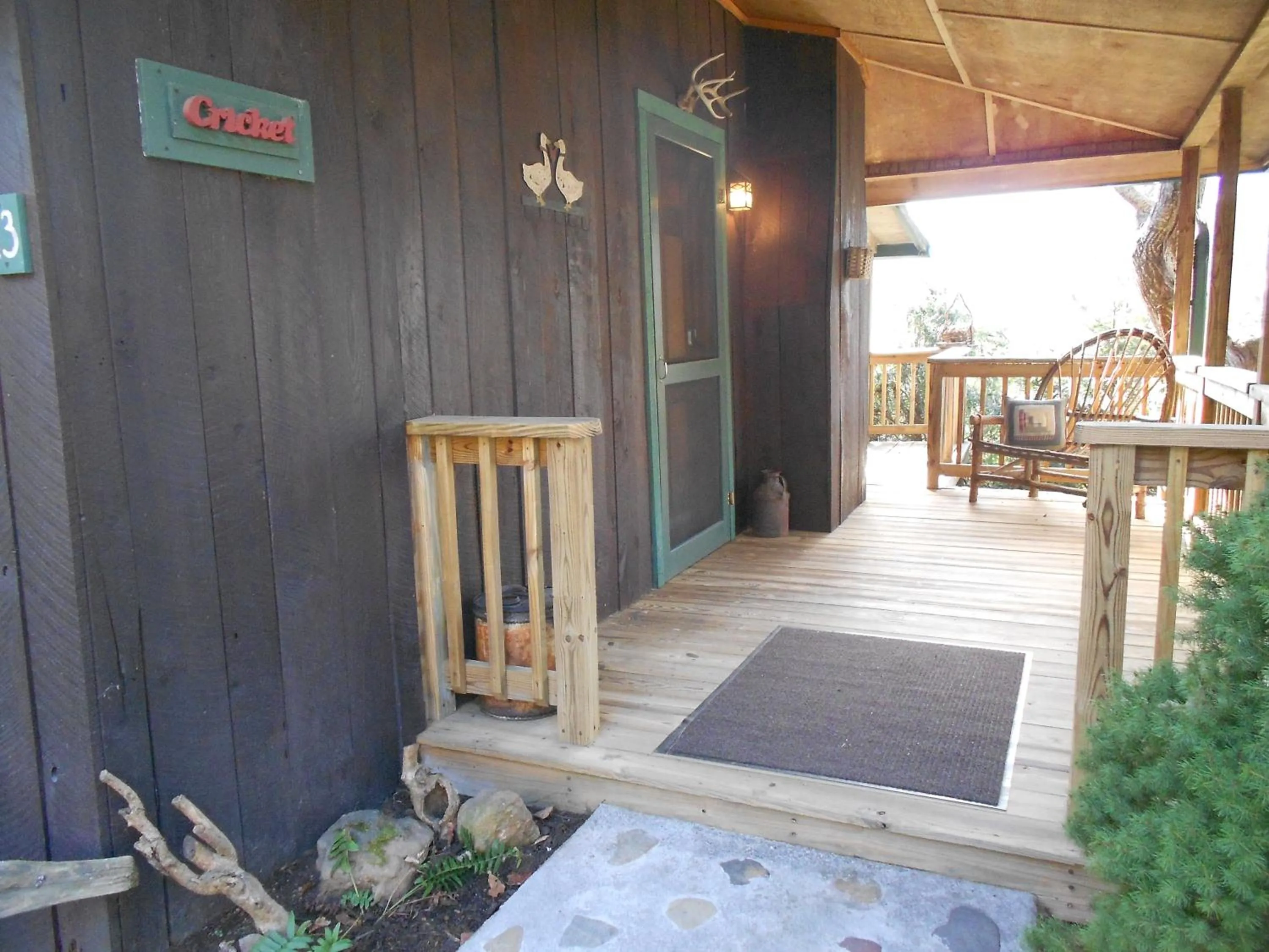 Mountain Springs Cabins