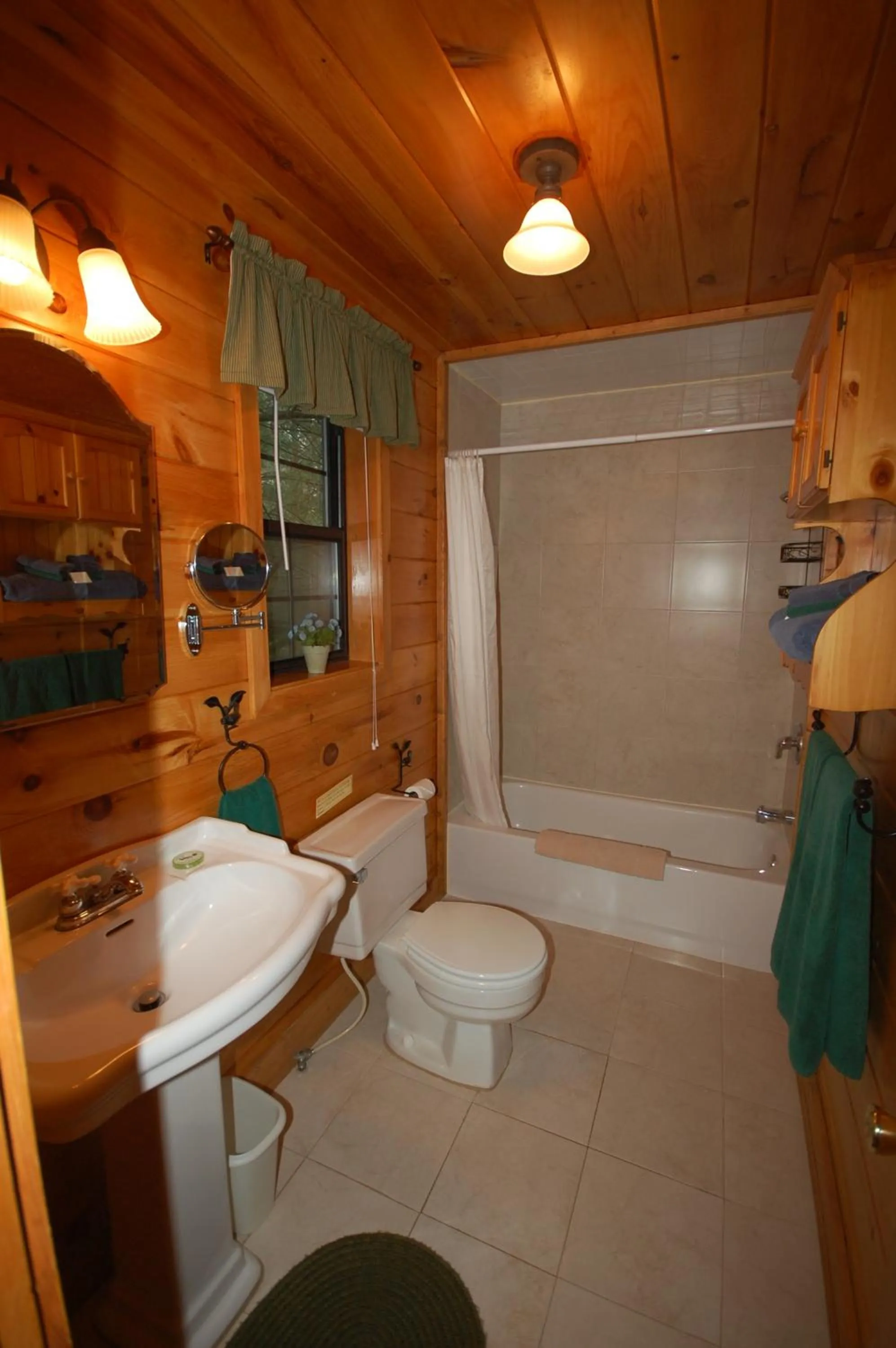 Mountain Springs Cabins