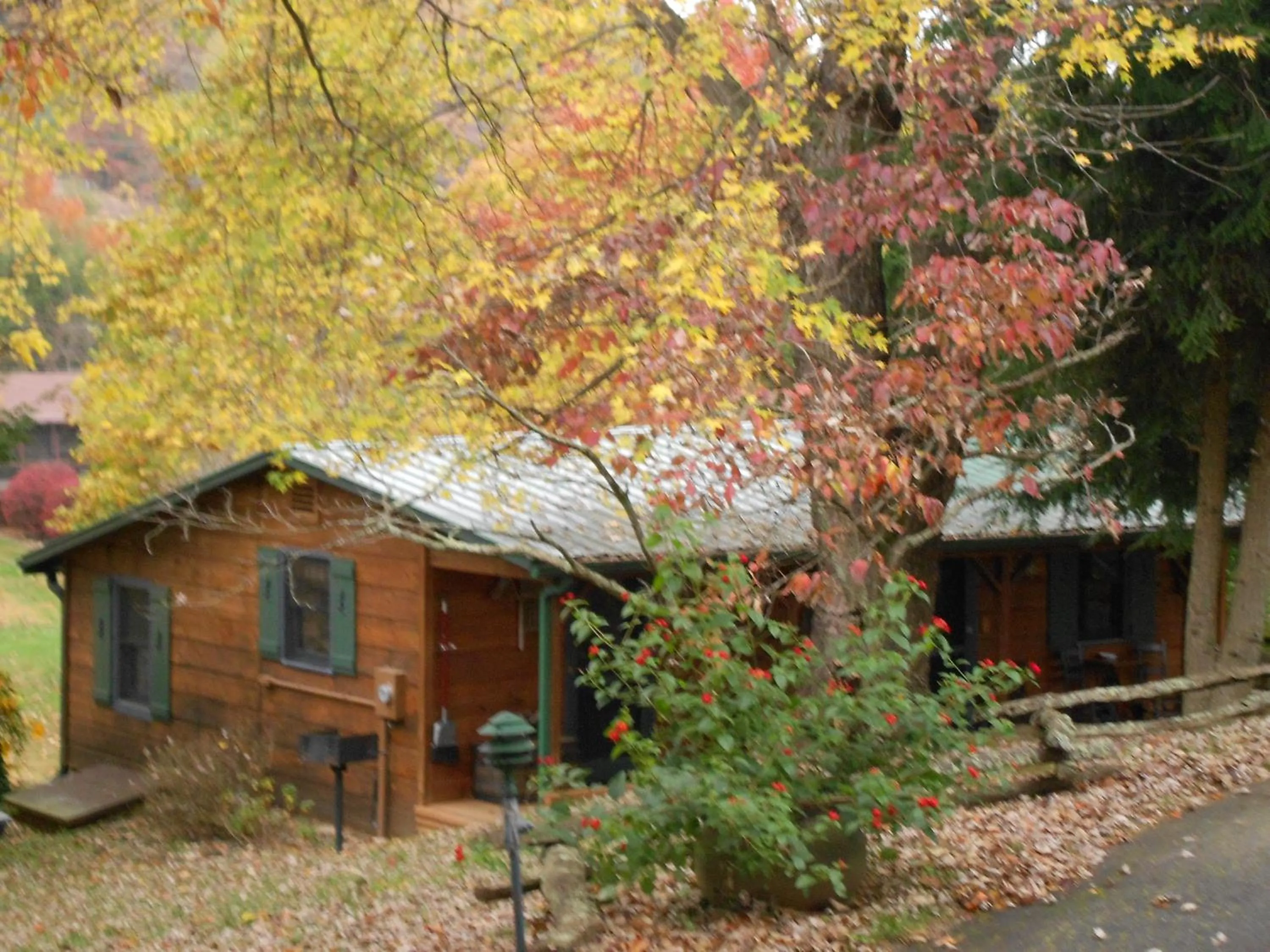 Mountain Springs Cabins