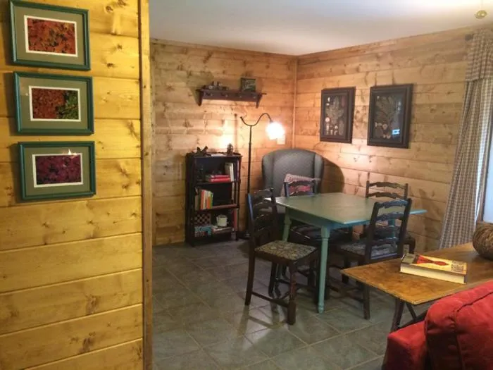 Mountain Springs Cabins