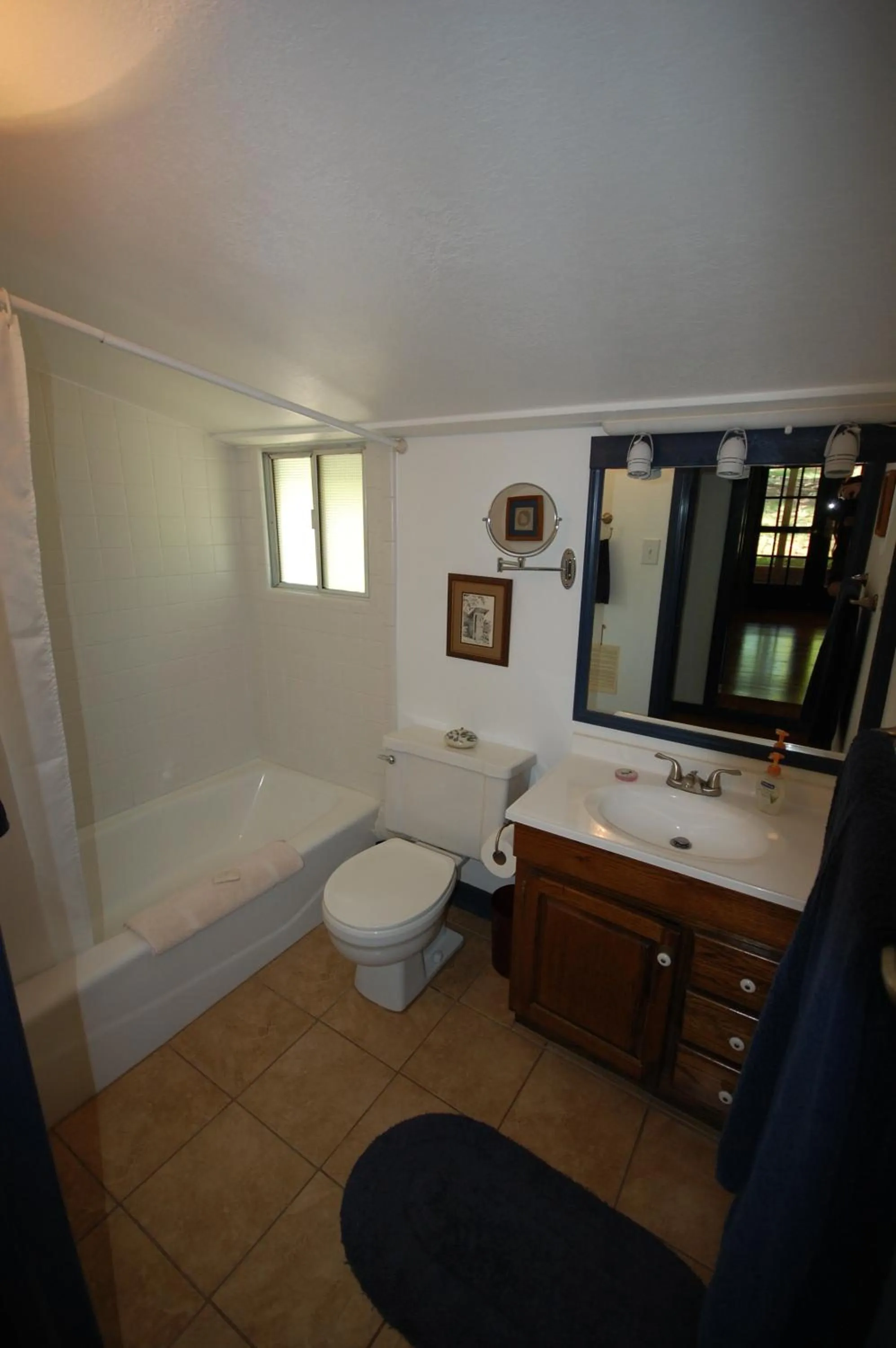 Mountain Springs Cabins