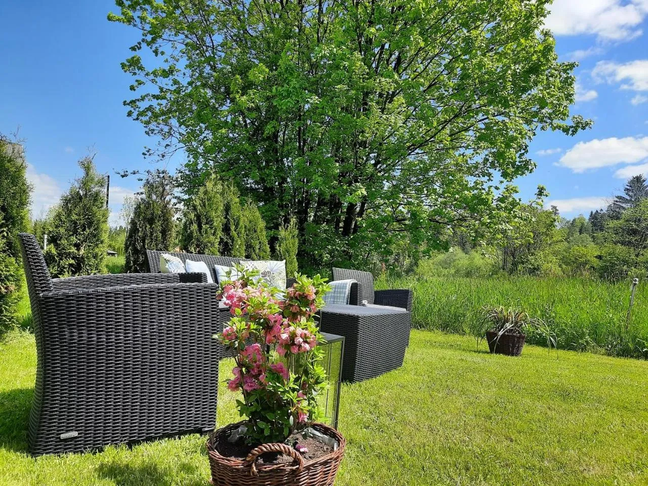 Garden in Willa Płazówka Białczańska