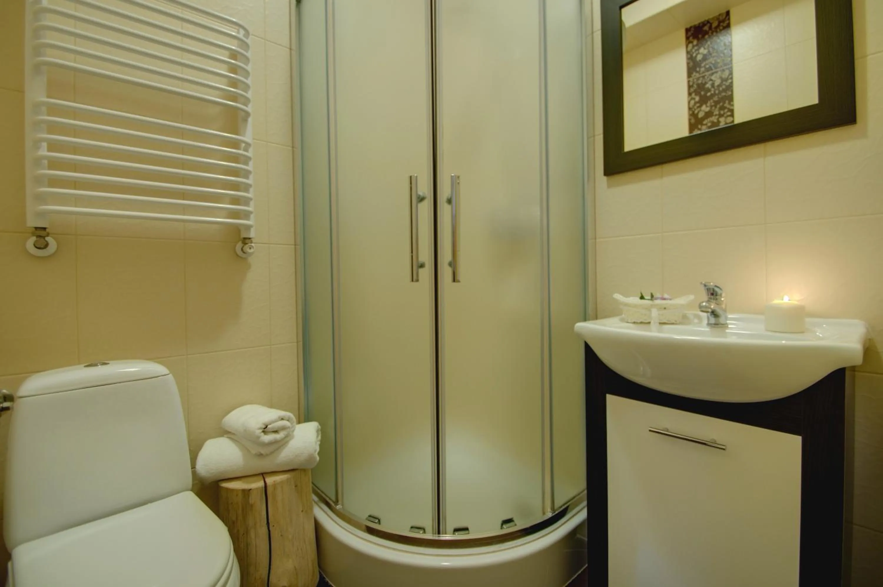 Bathroom in Willa Płazówka Białczańska