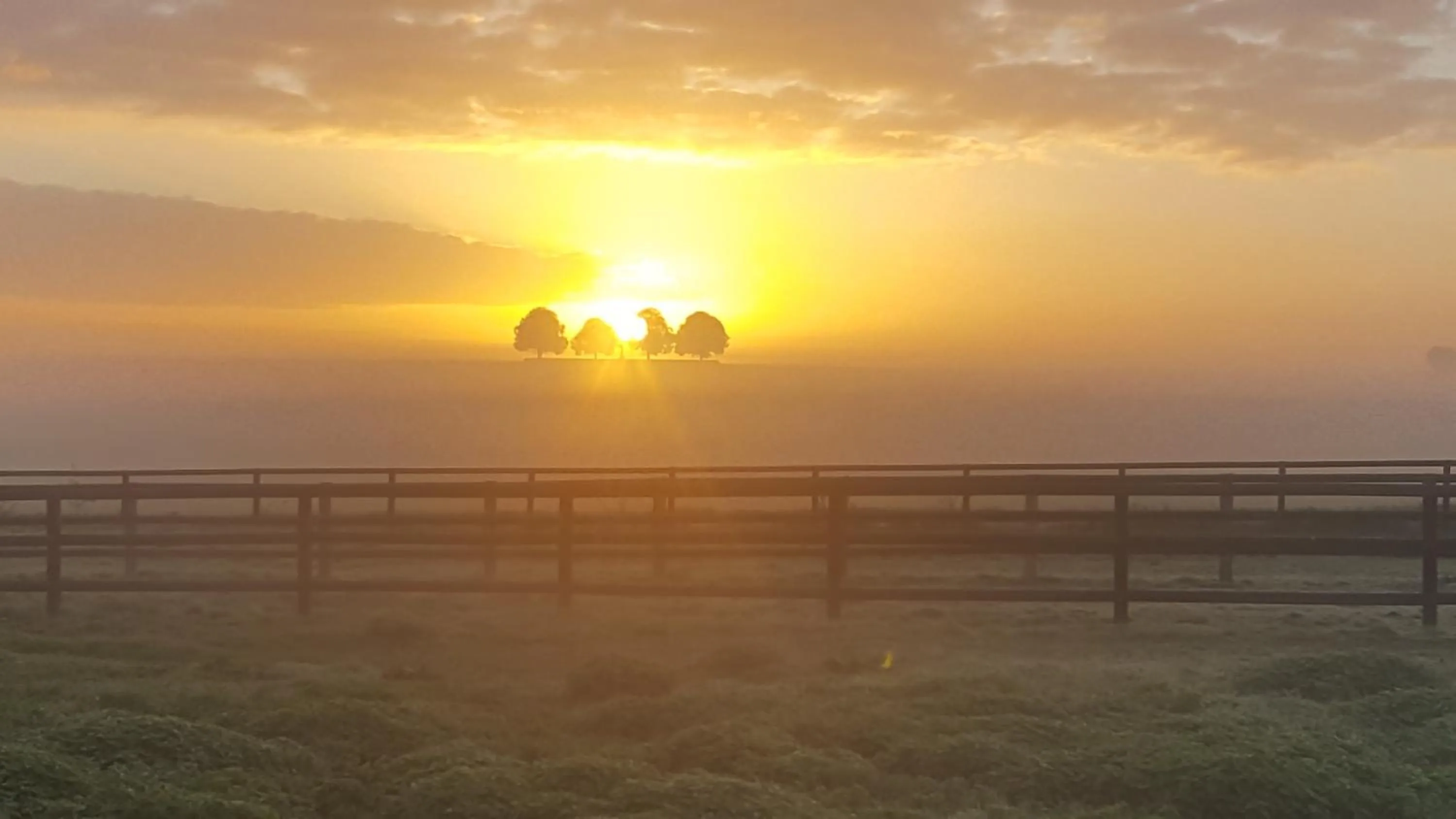Sunrise in Ferme de l'Abbaye