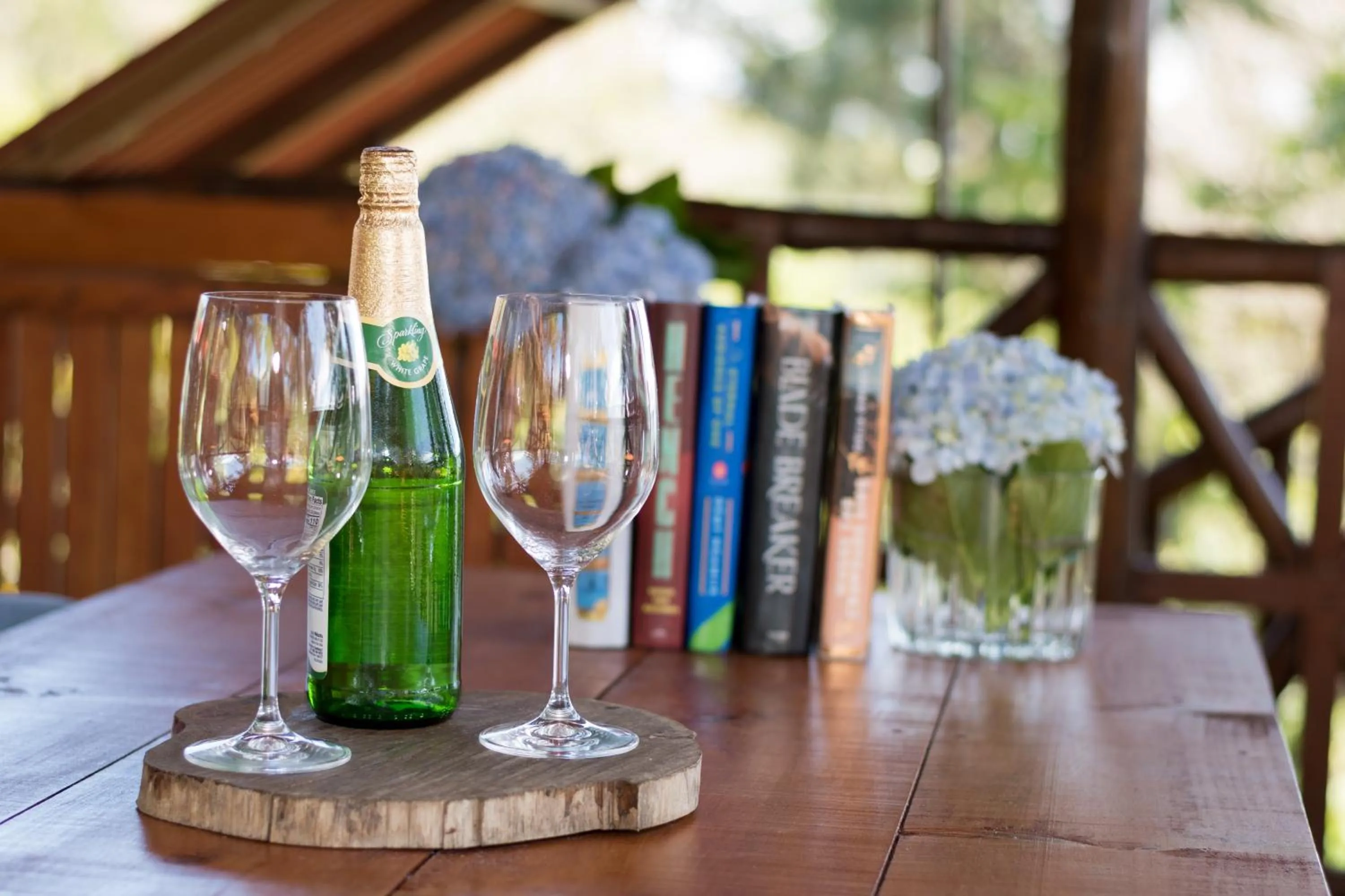 Vista Turrialba Lodge