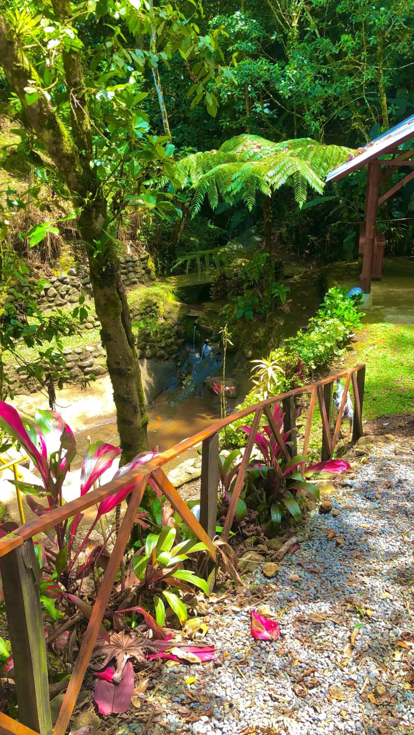 Vista Turrialba Lodge