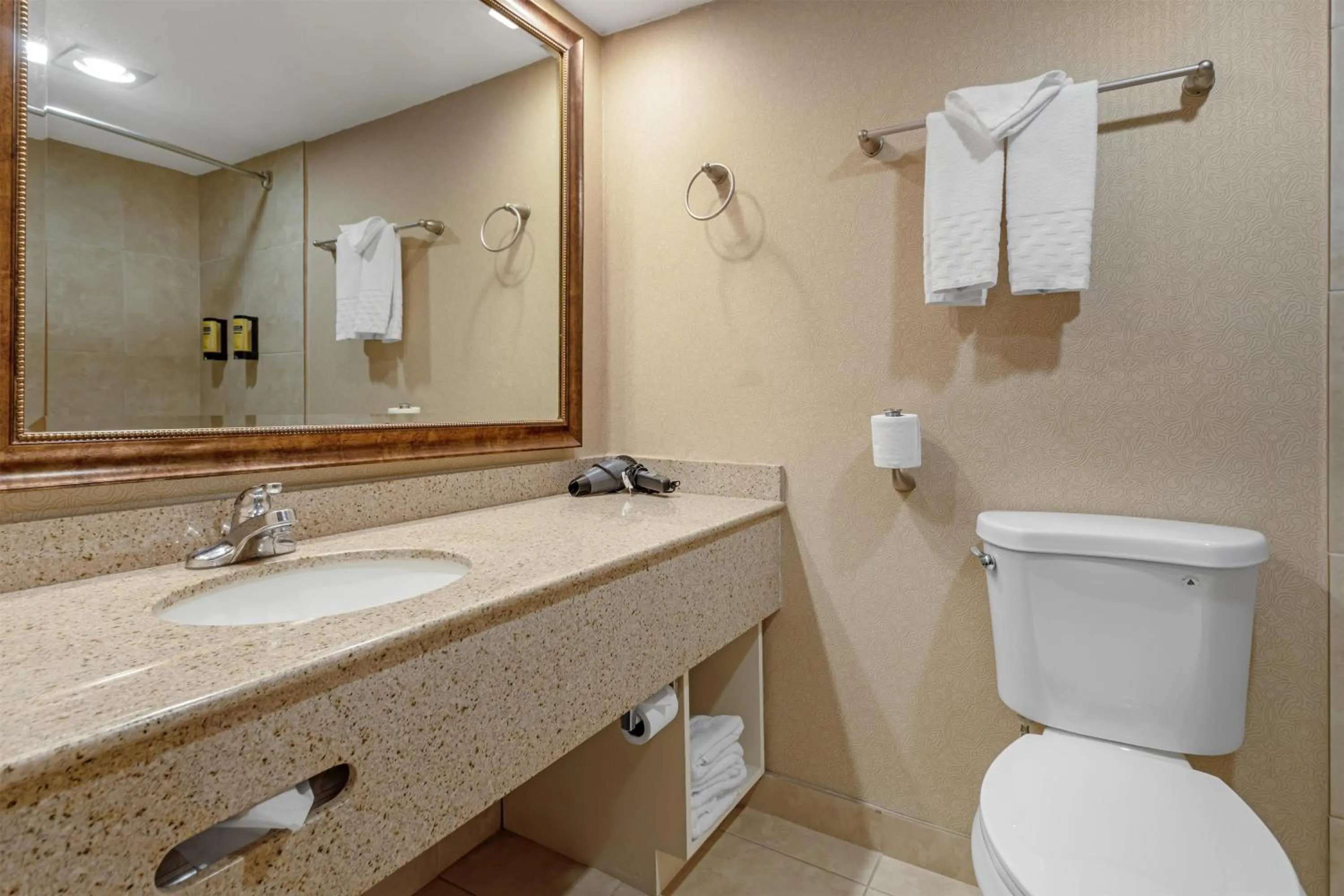 Bathroom in Best Western Plus Big America