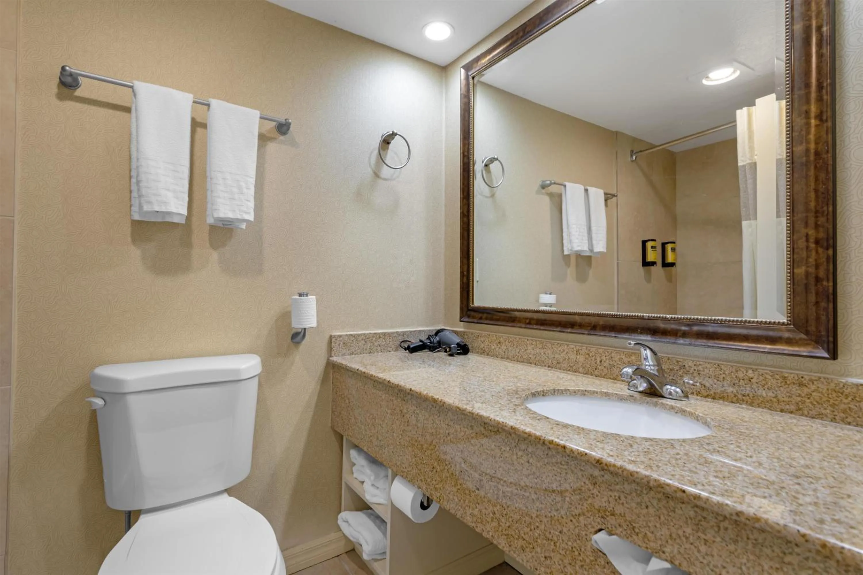 Bathroom in Best Western Plus Big America