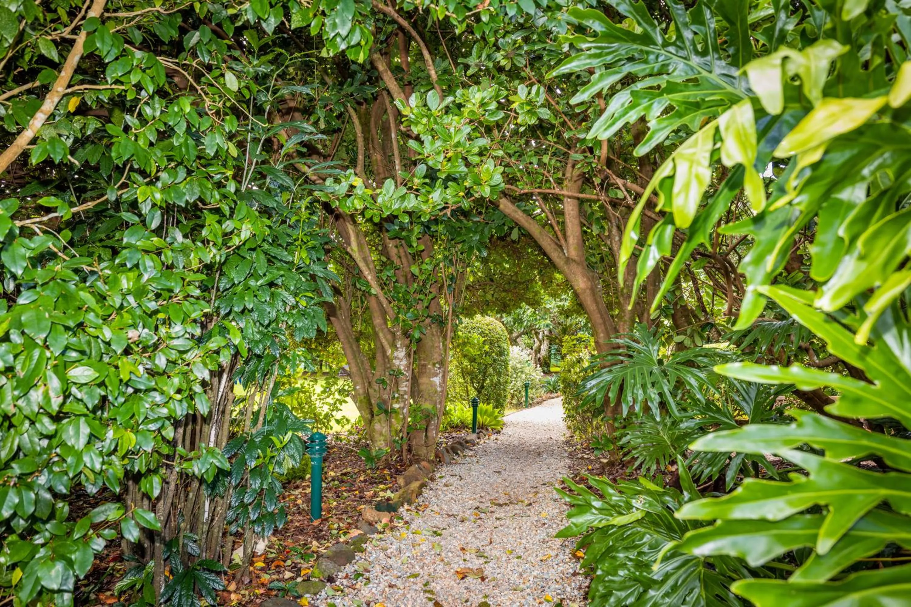 Garden in Camelot Boutique Accommodation