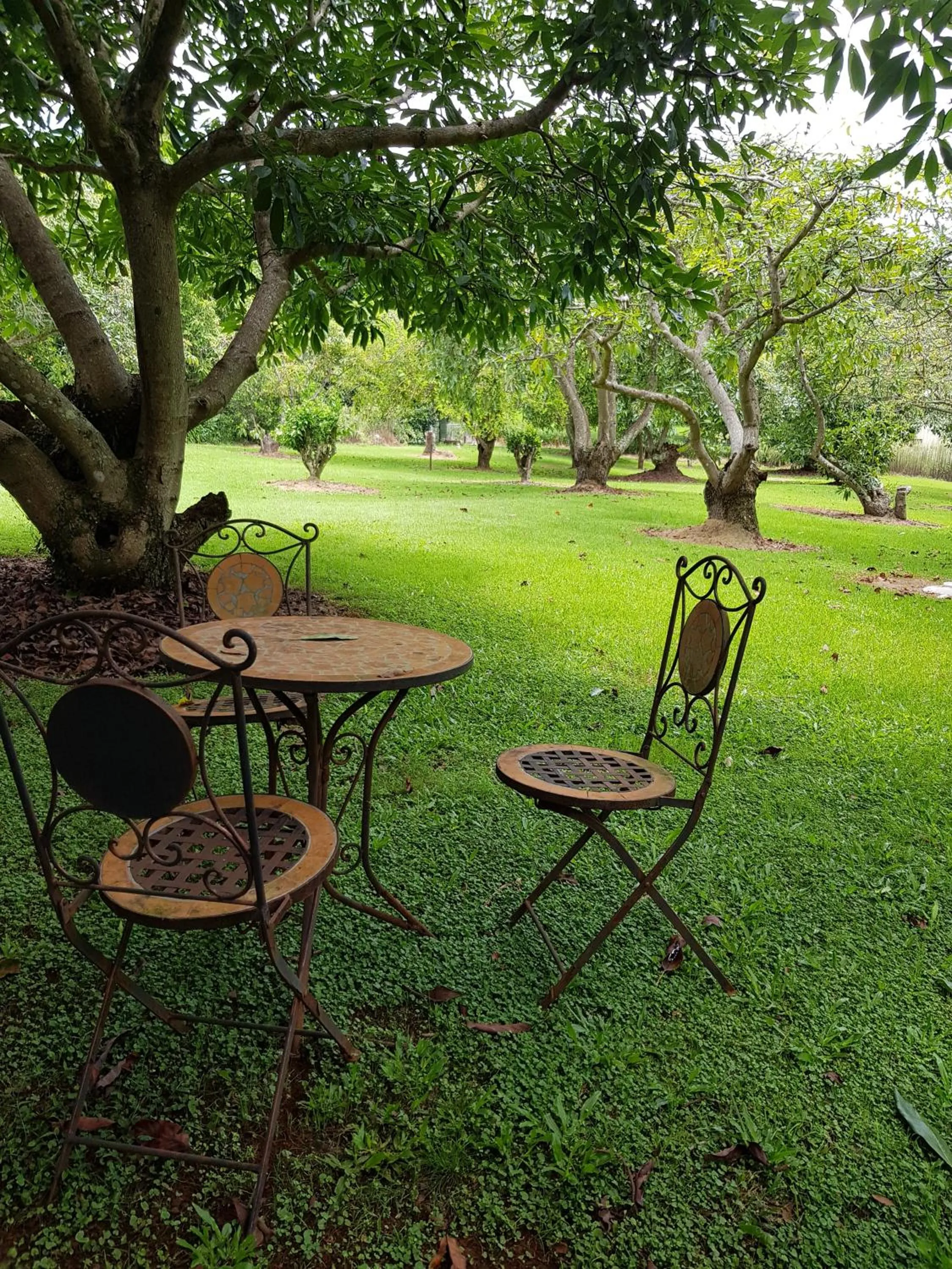 Garden in Camelot Boutique Accommodation