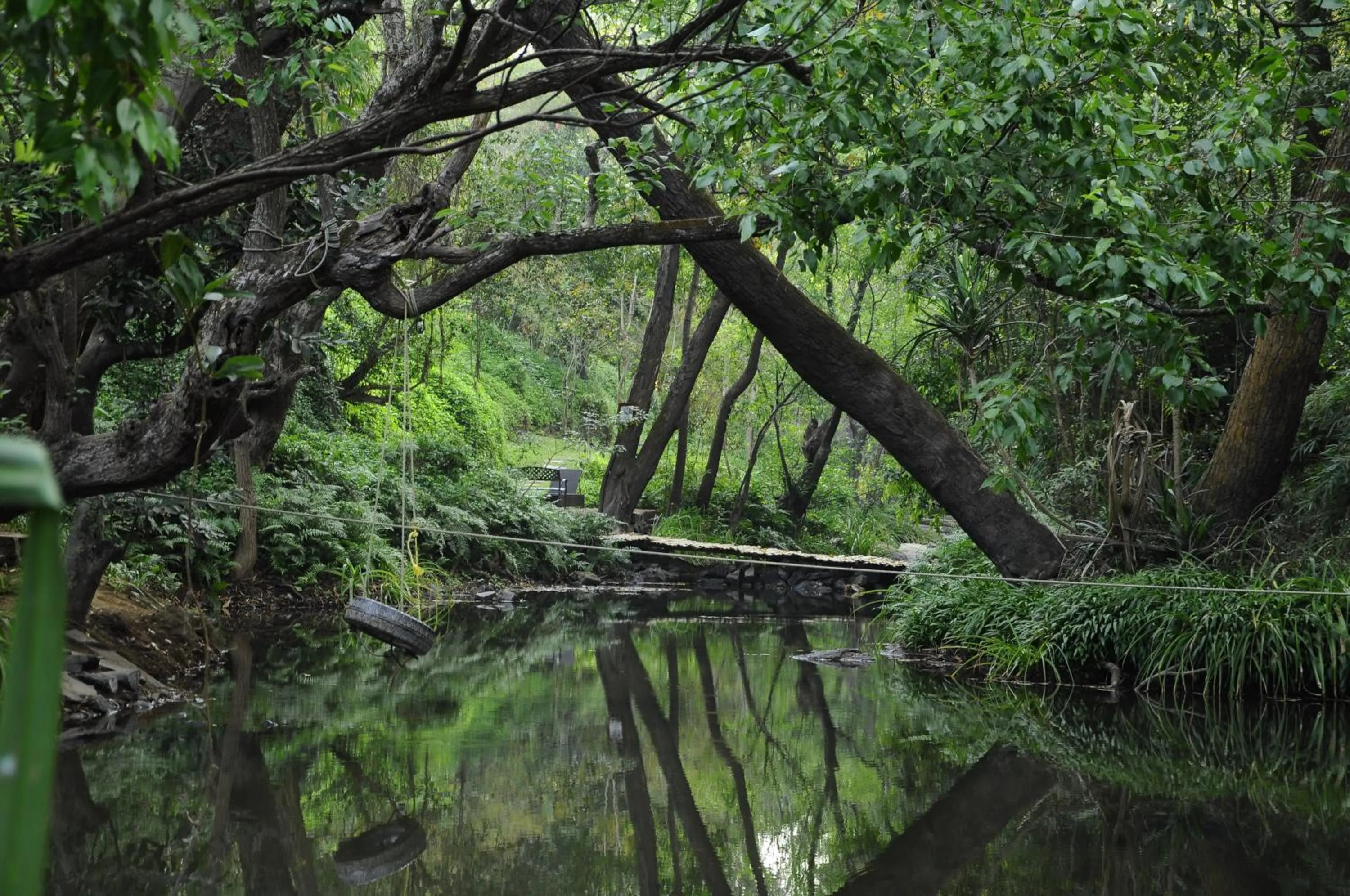 Natural landscape in Amanvana Spa Resort, Coorg