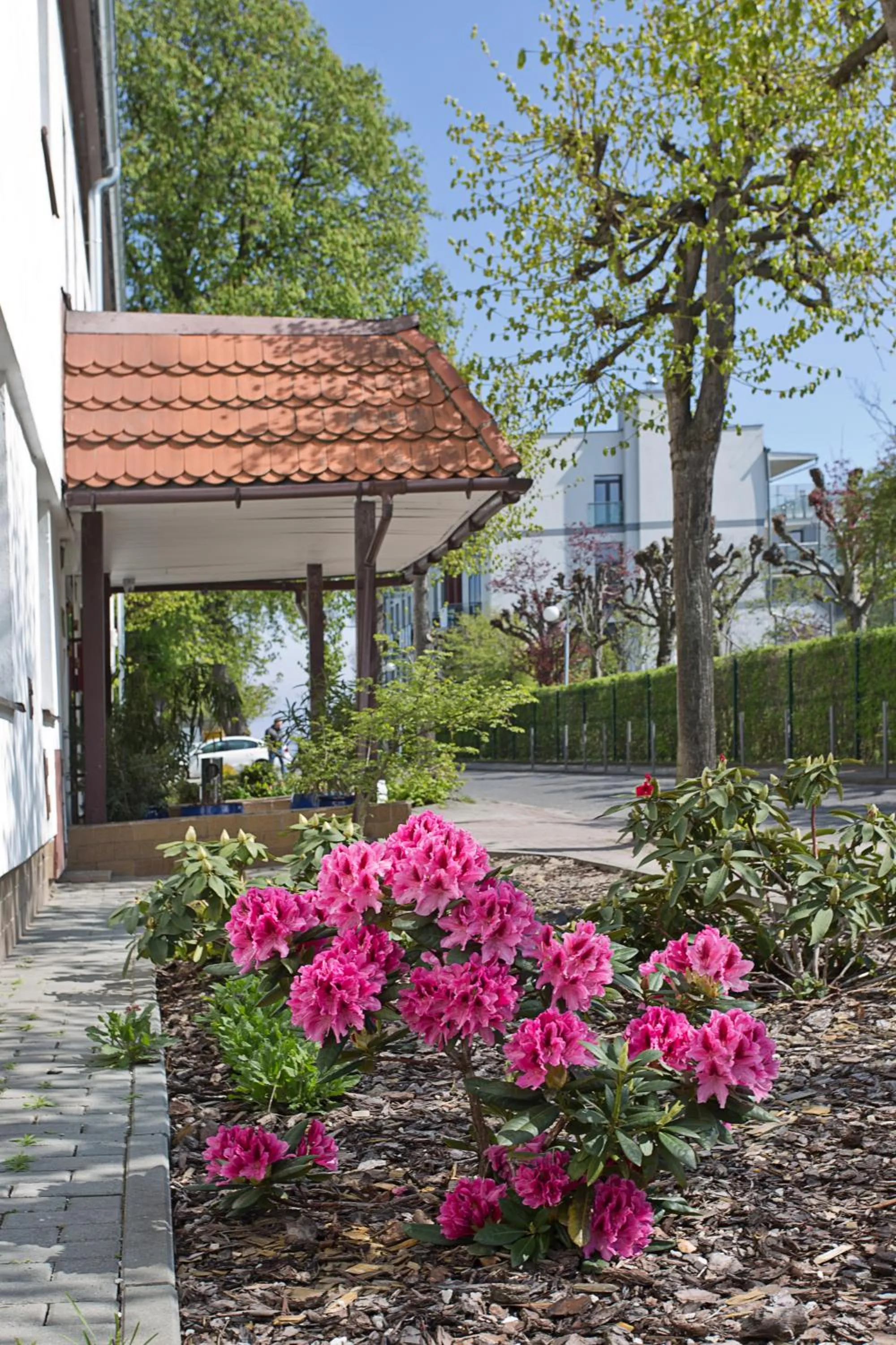 Facade/entrance in Meduza Sopot