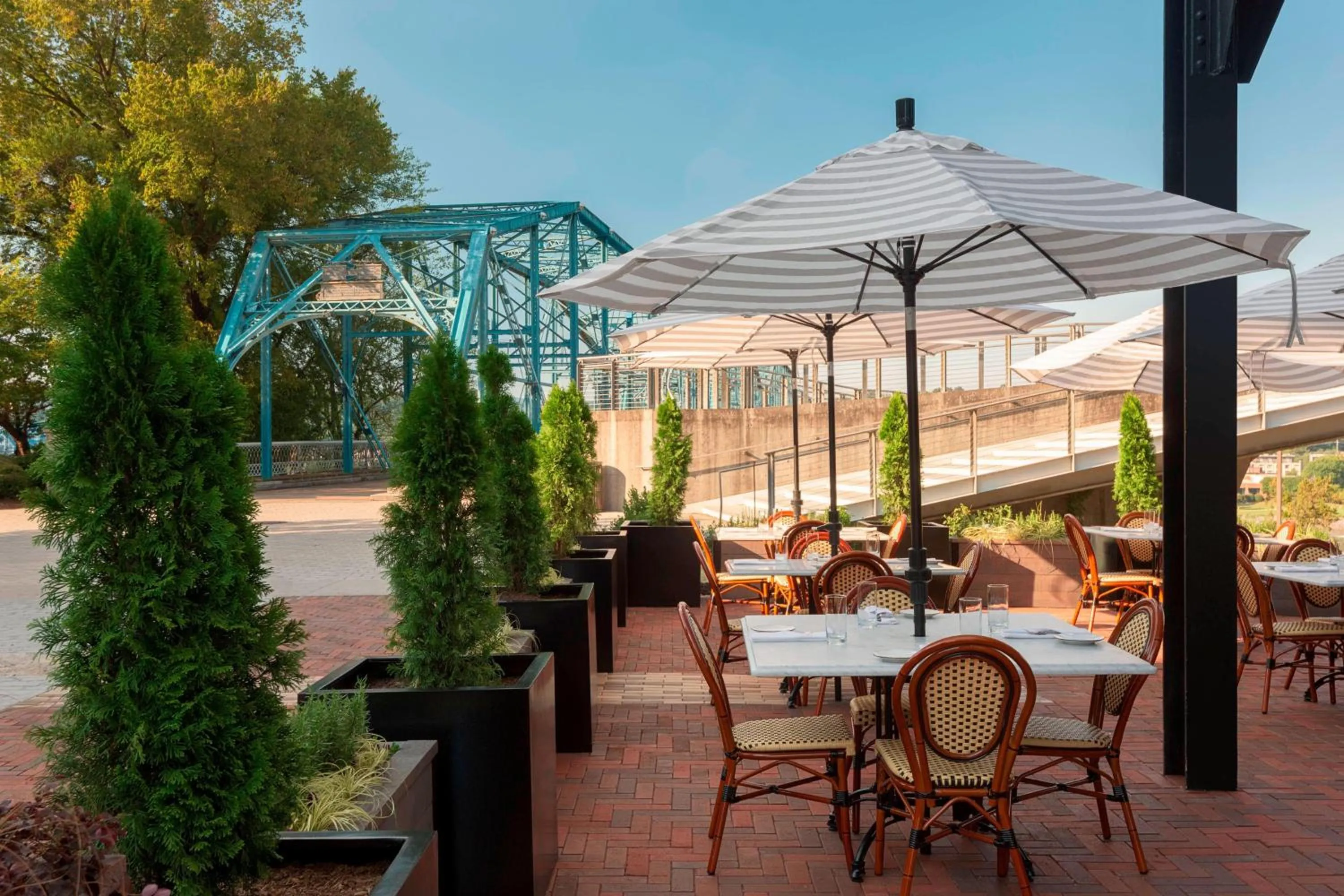 Restaurant/places to eat in The Edwin Hotel, Autograph Collection