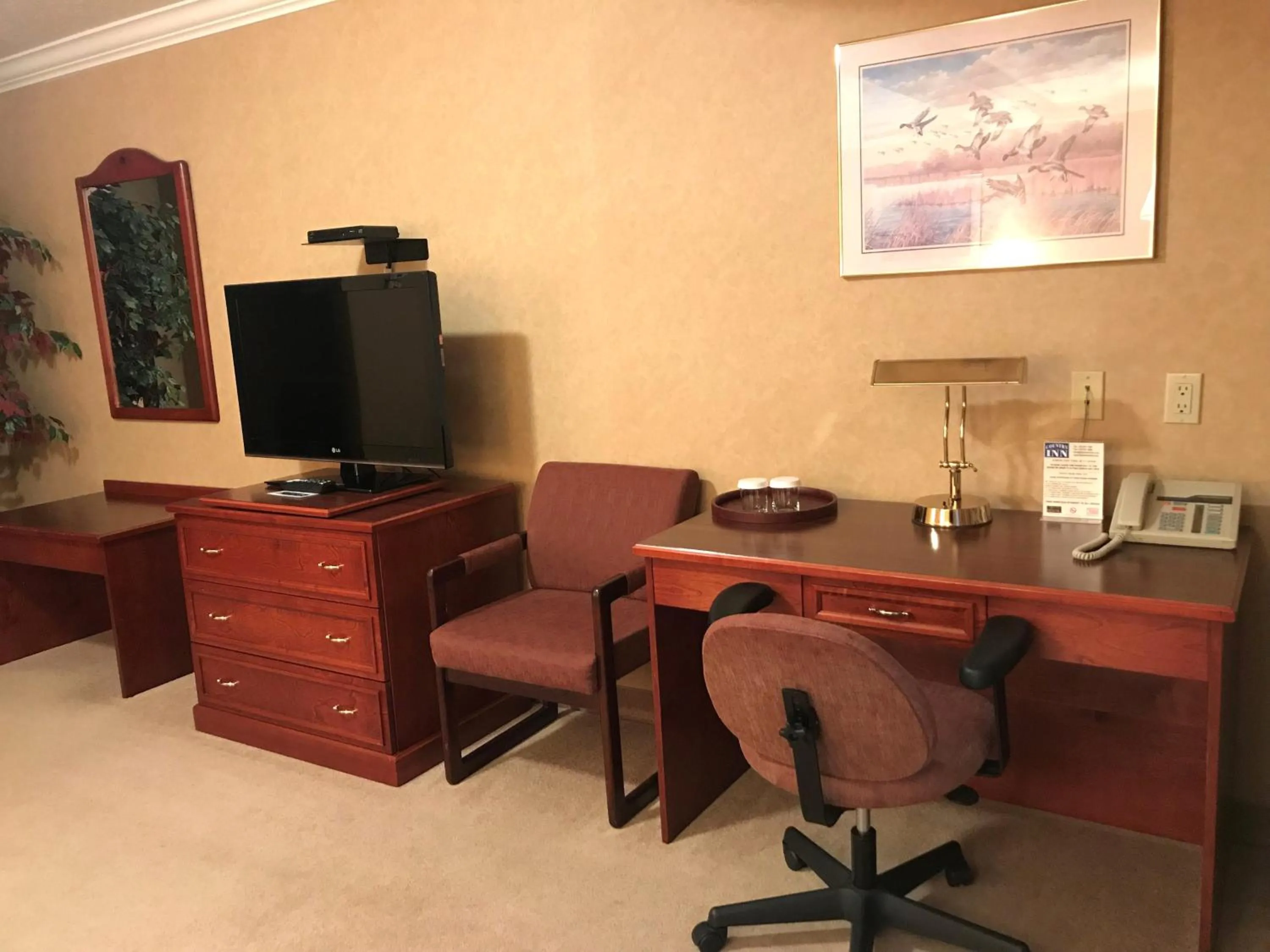 TV and multimedia in Country Inn Listowel