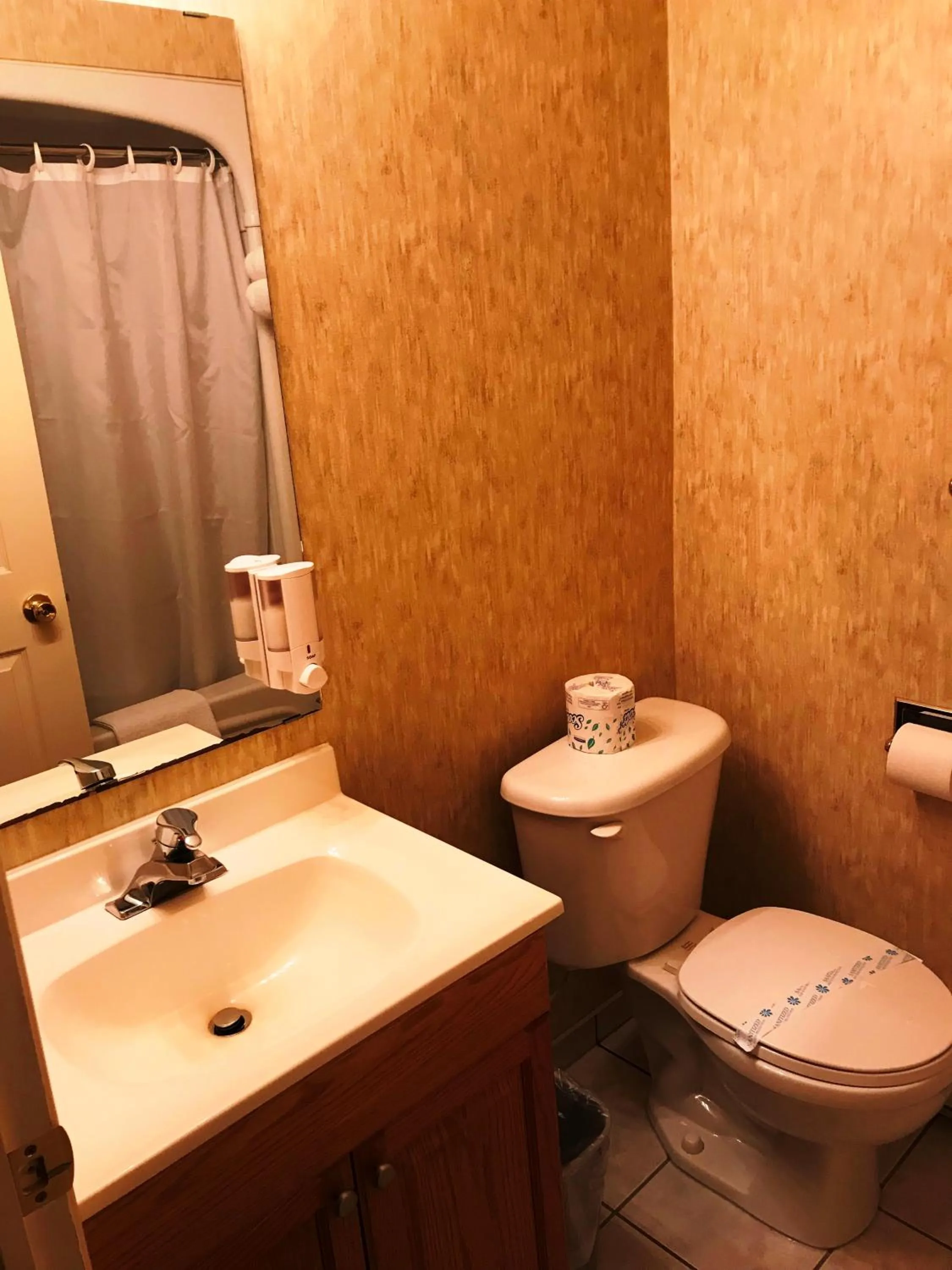 Toilet in Country Inn Listowel