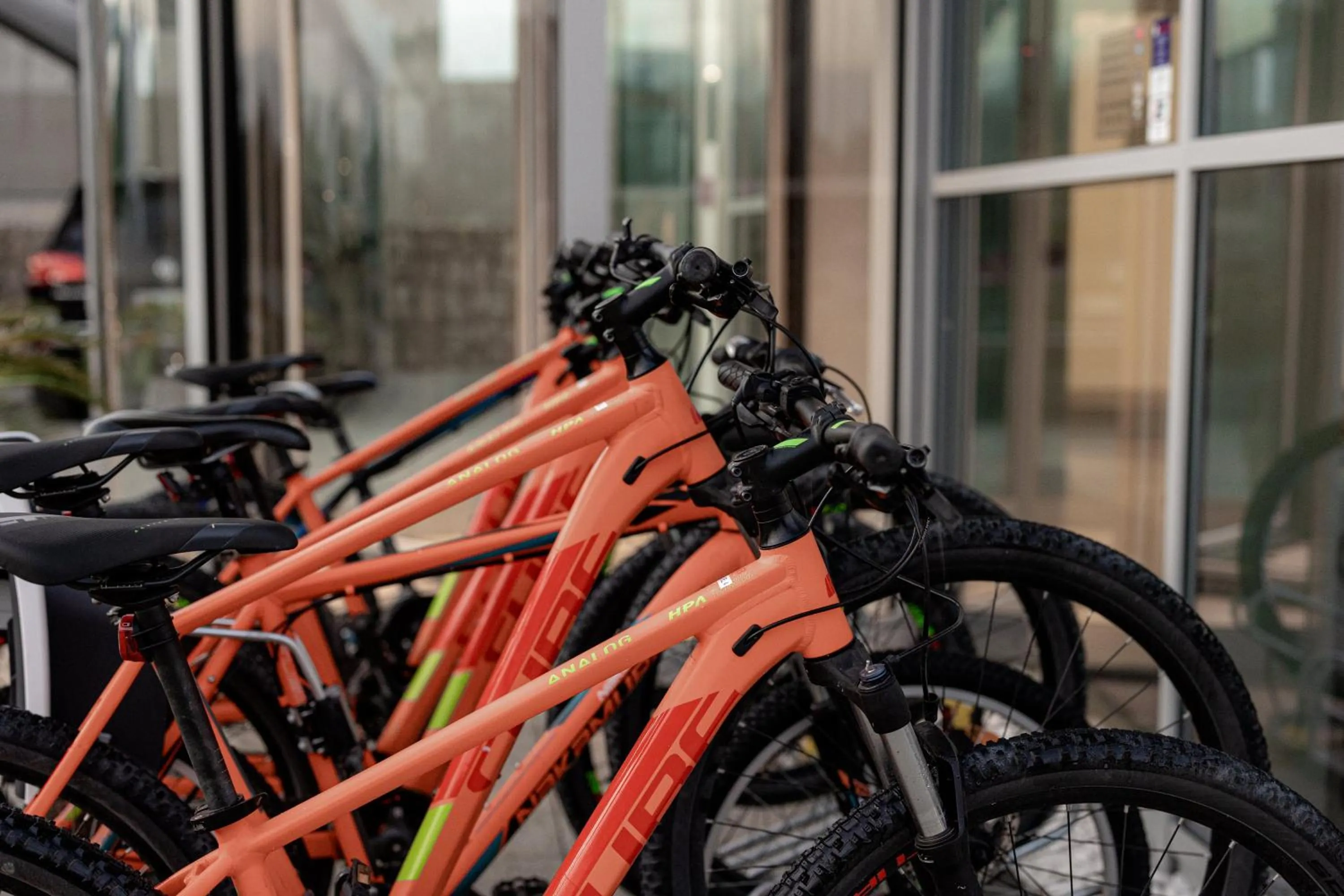 Activities in Aparthotel Joel