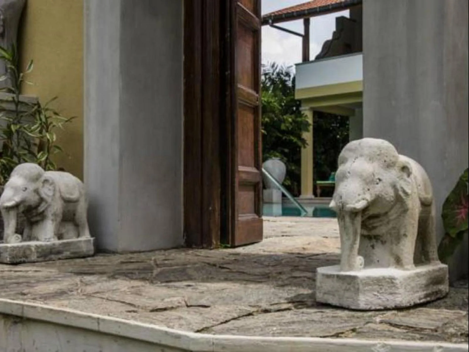 Garden in Villa Tara