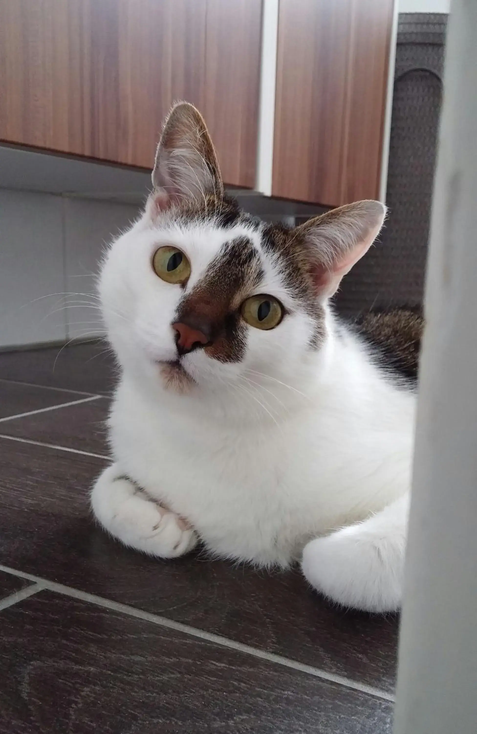 Hotel Vier Jahreszeiten Hotel Vier Jahreszeiten