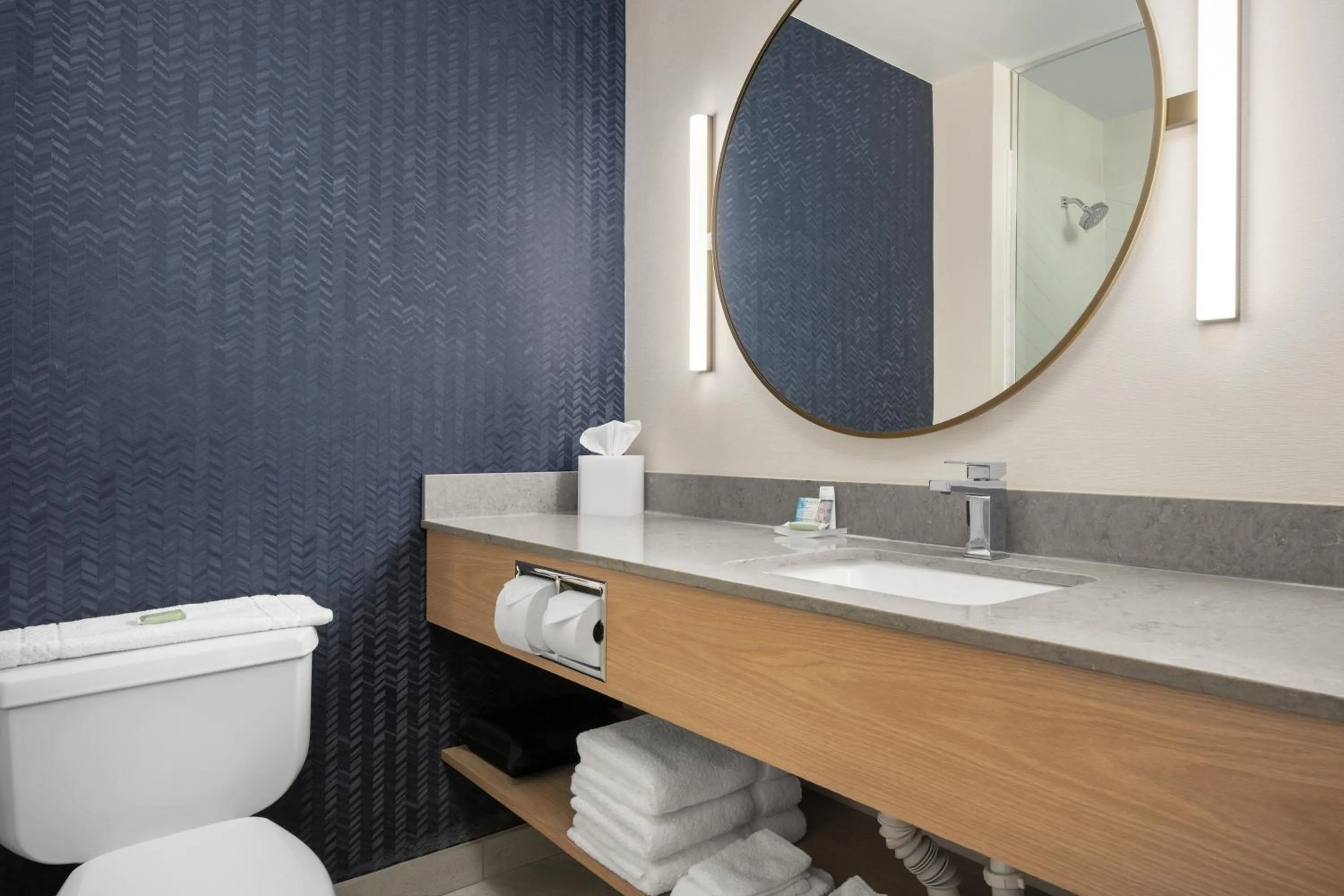 Bathroom in Fairfield by Marriott Inn & Suites Helena North