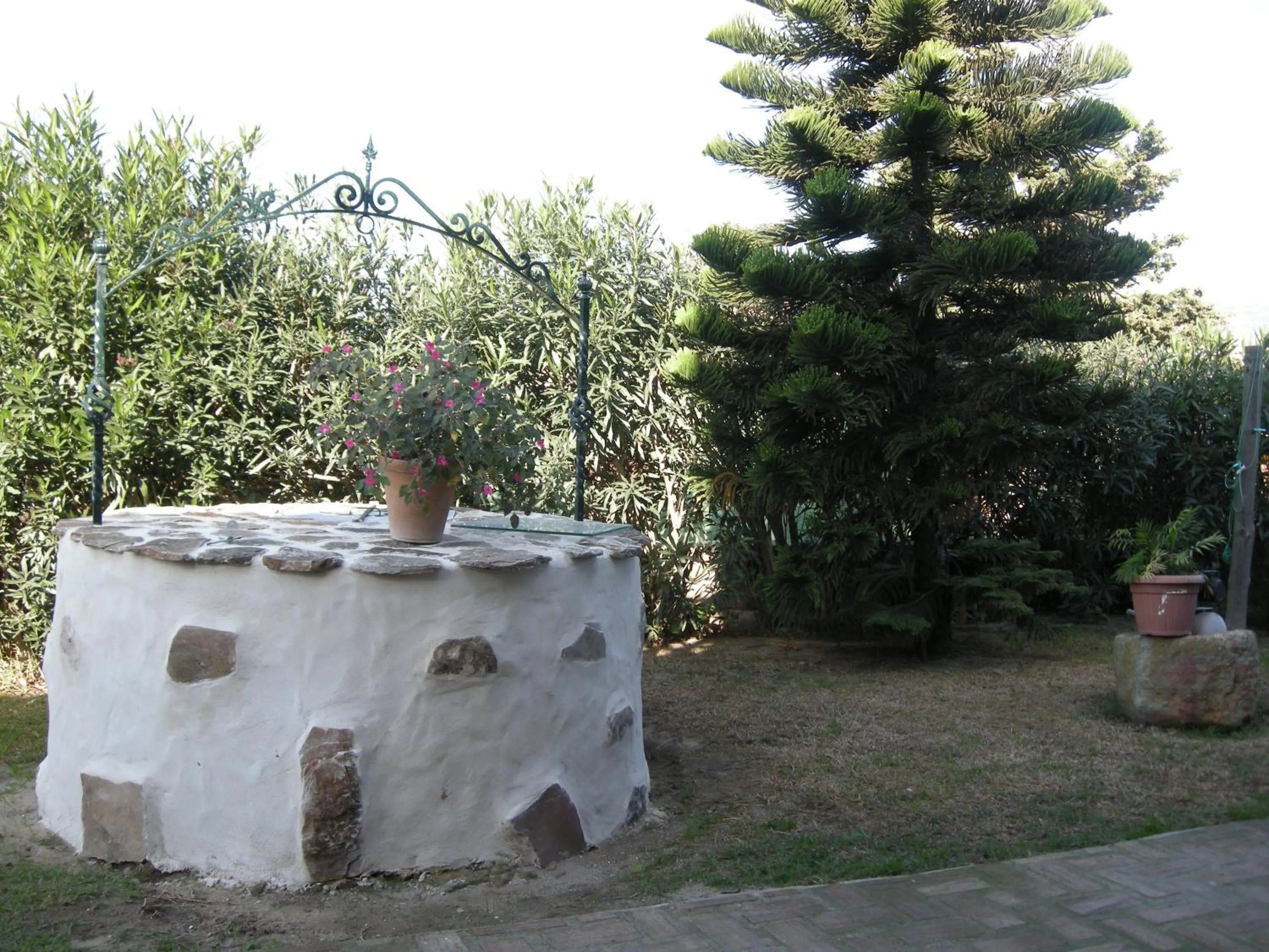 Garden in El Rancho