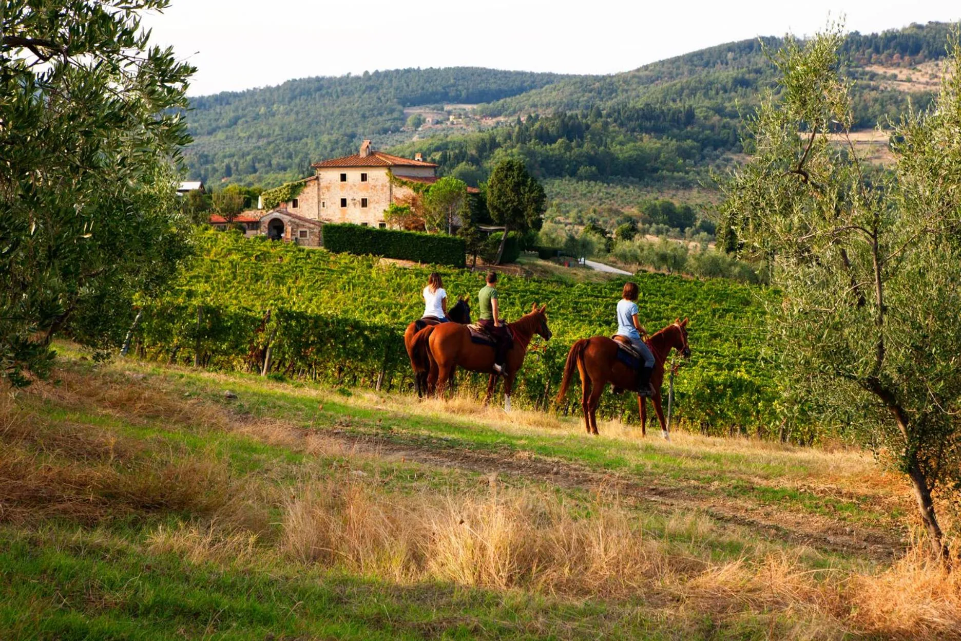Natural landscape in Agriturismo Fattoria Lavacchio