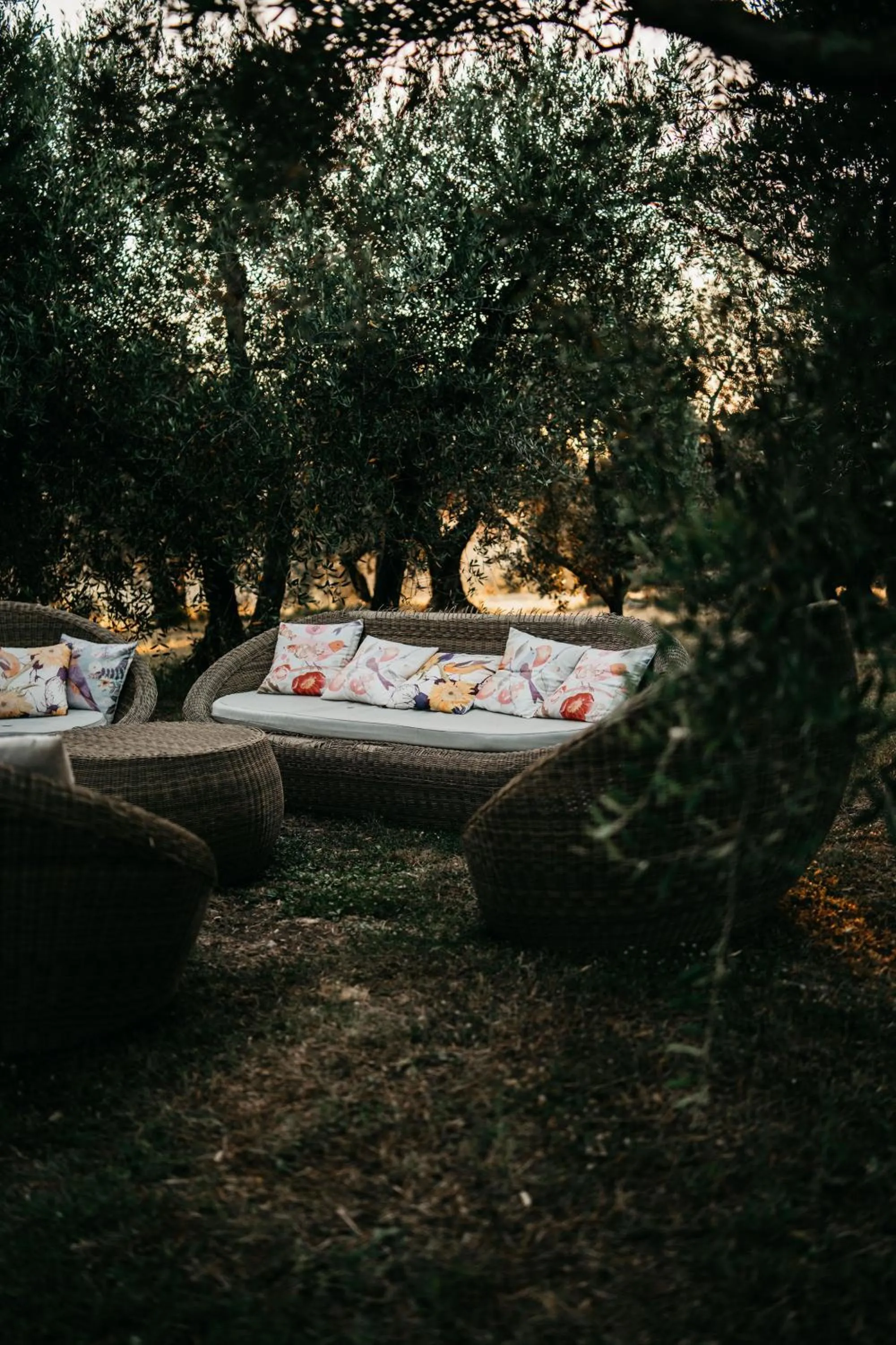 Garden in Agriturismo Fattoria Lavacchio