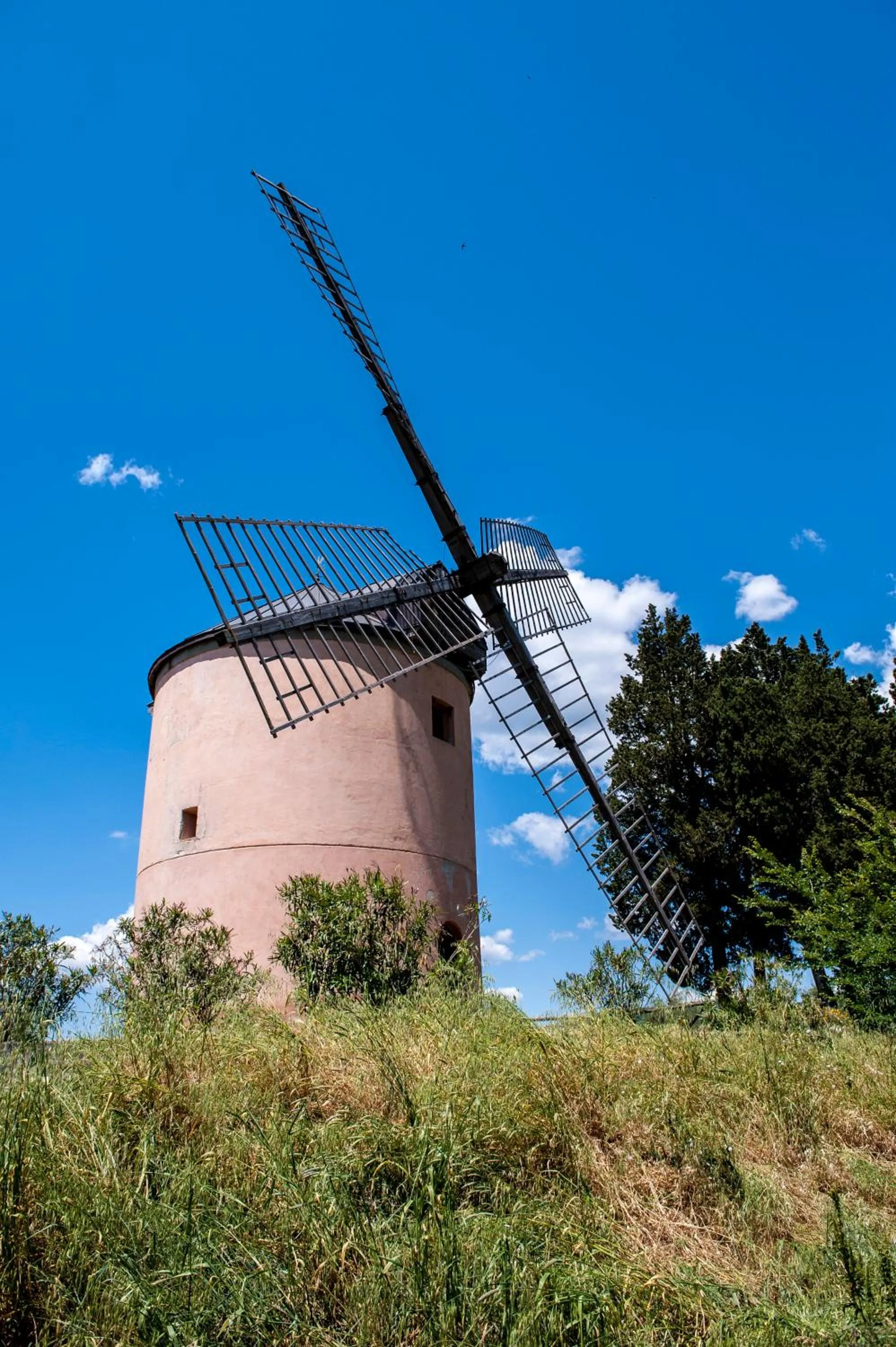 Day in Agriturismo Fattoria Lavacchio