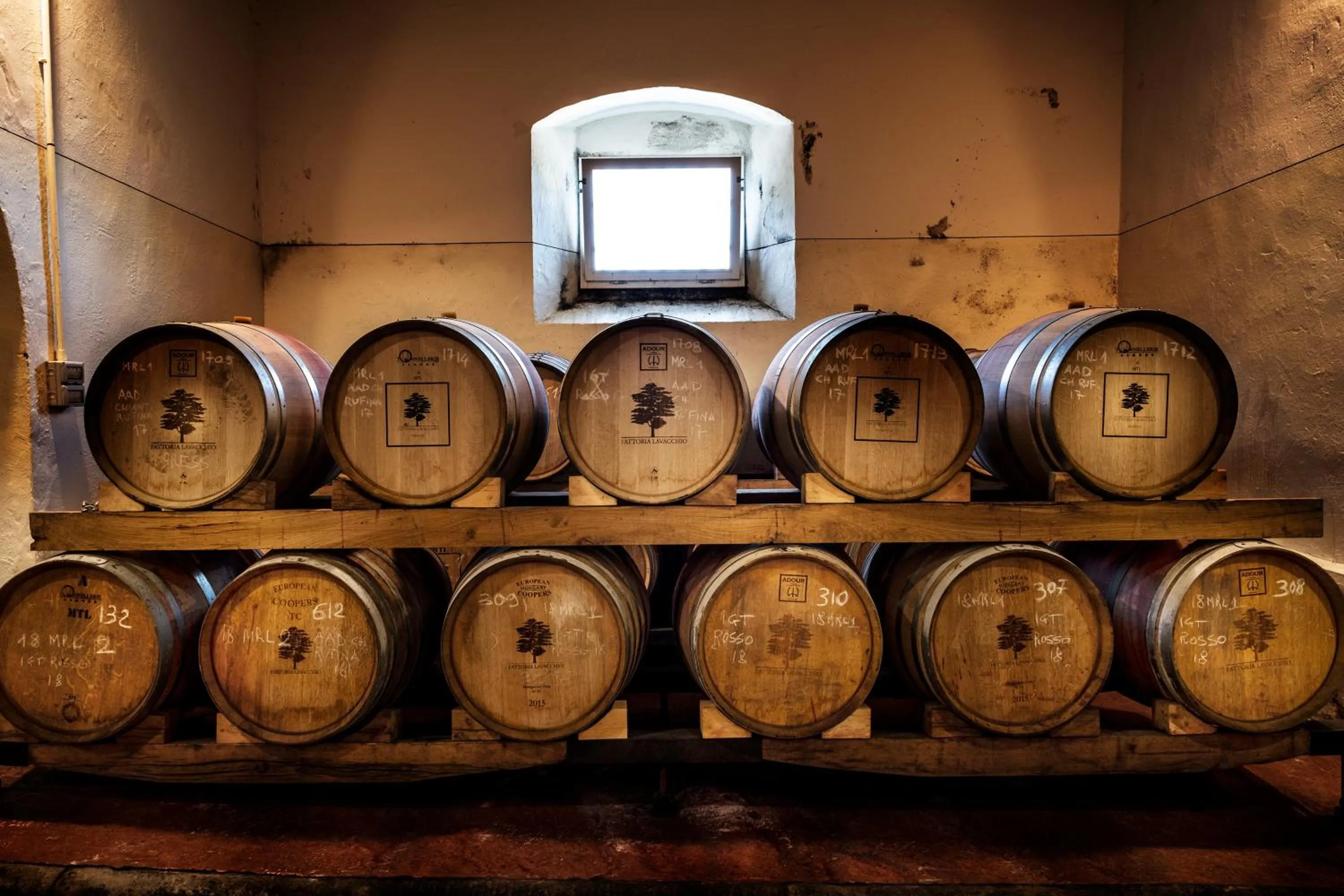 Activities in Agriturismo Fattoria Lavacchio