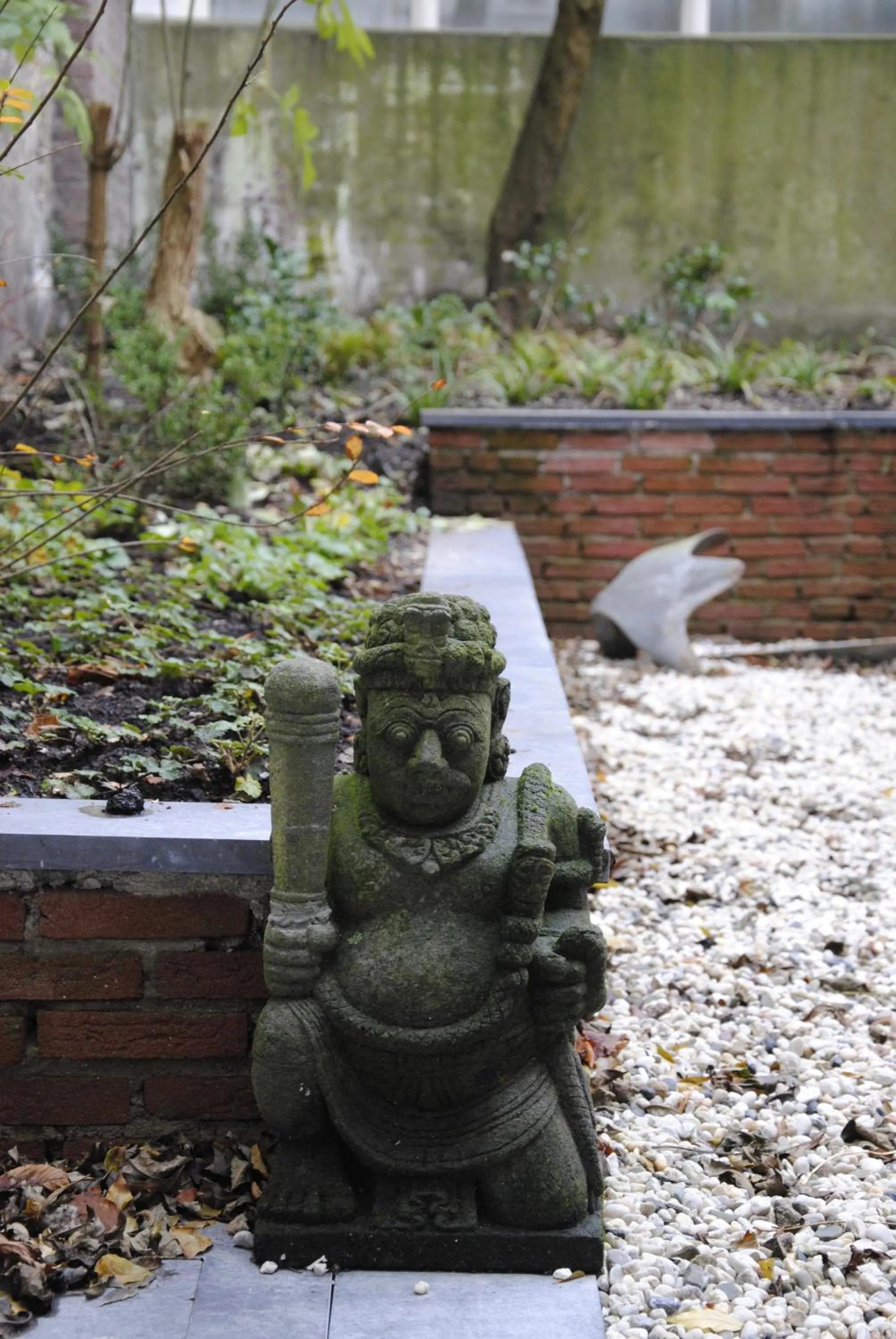 Garden in The Old Lady