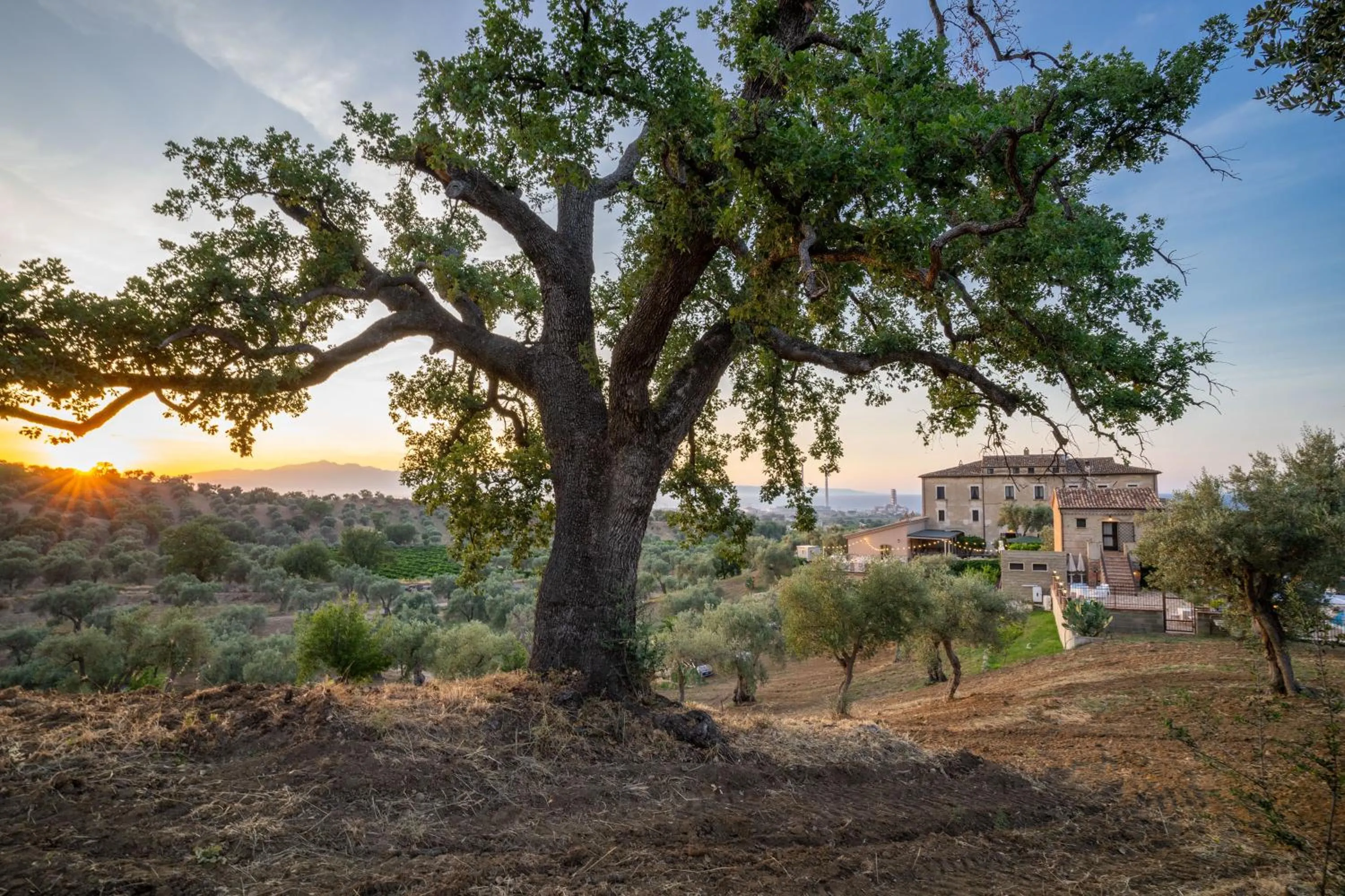 Property building in Tenuta Ciminata Greco