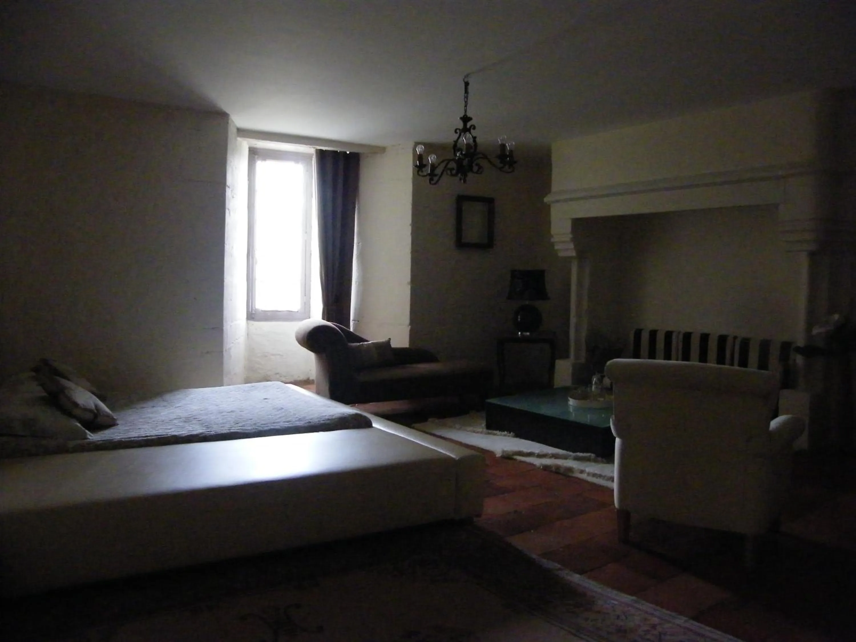 Decorative detail in Château des Martinanches