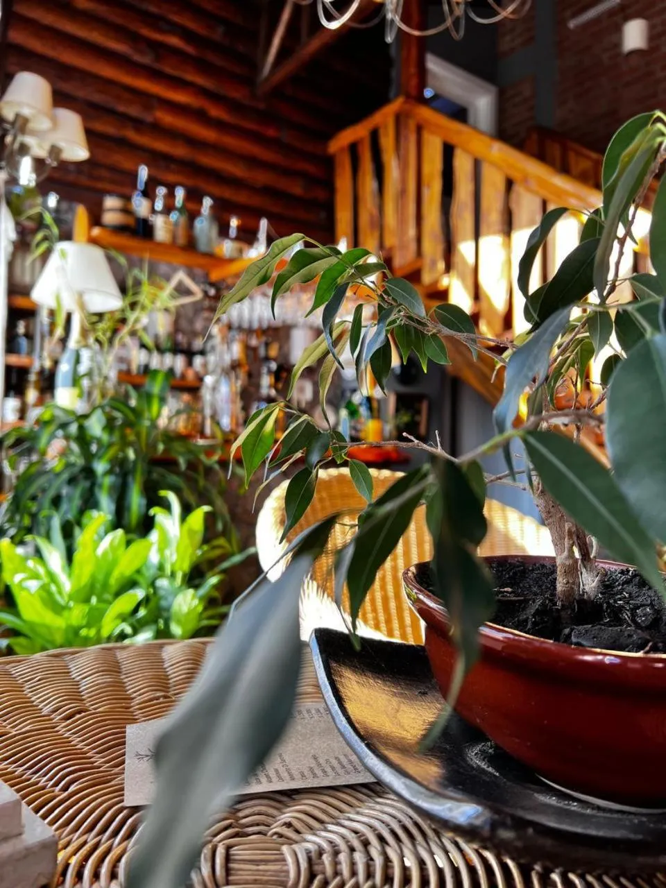 Hosteria Los Canelos