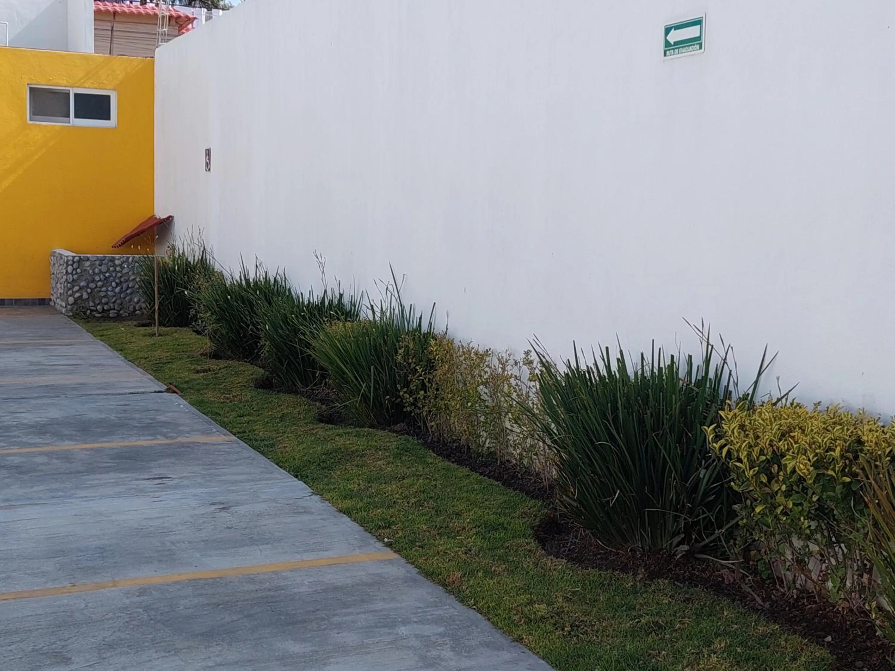 Garden in Posada del Ángel