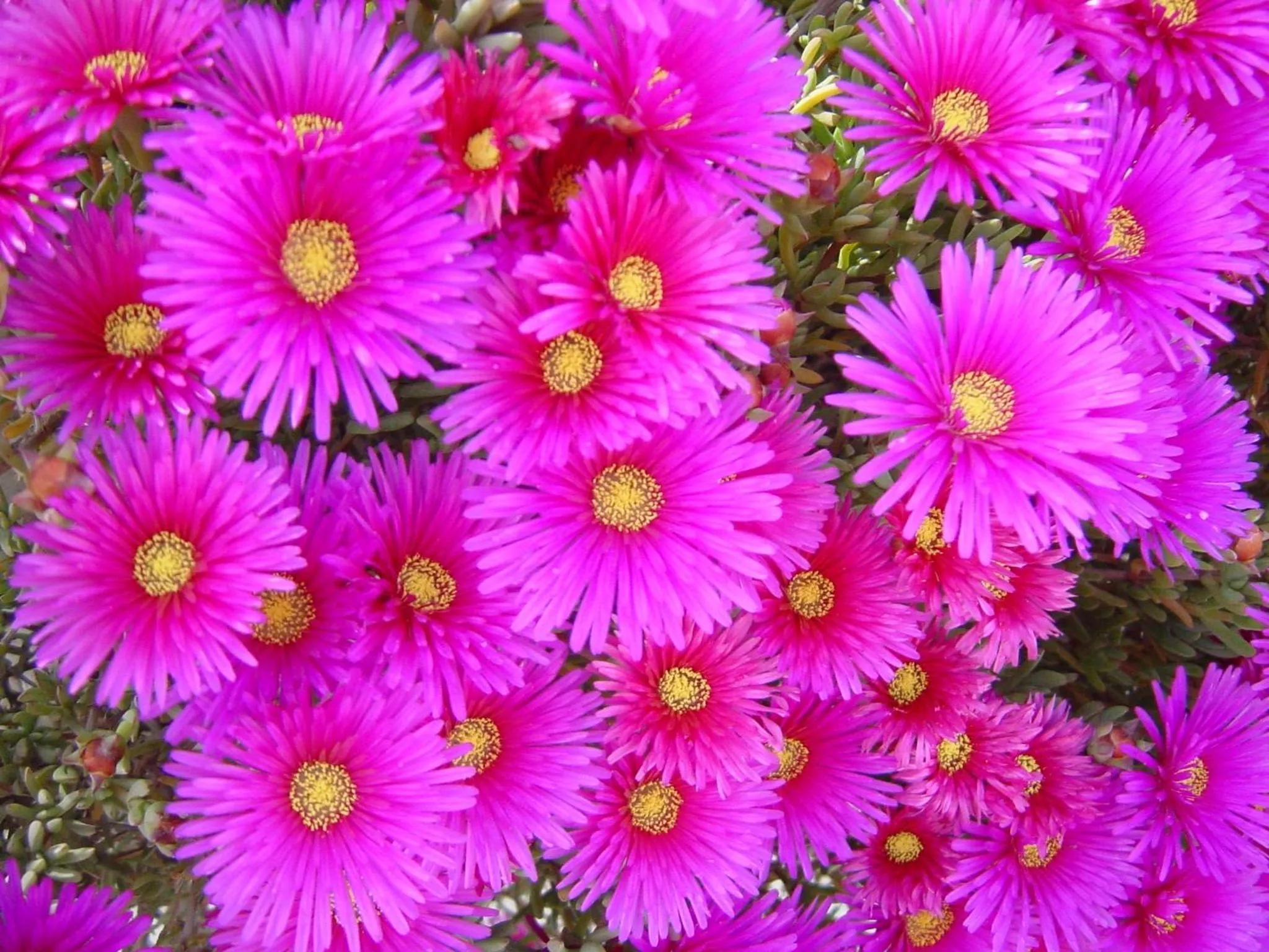 Property building in Baia Degli Aranci Suite & Apartments