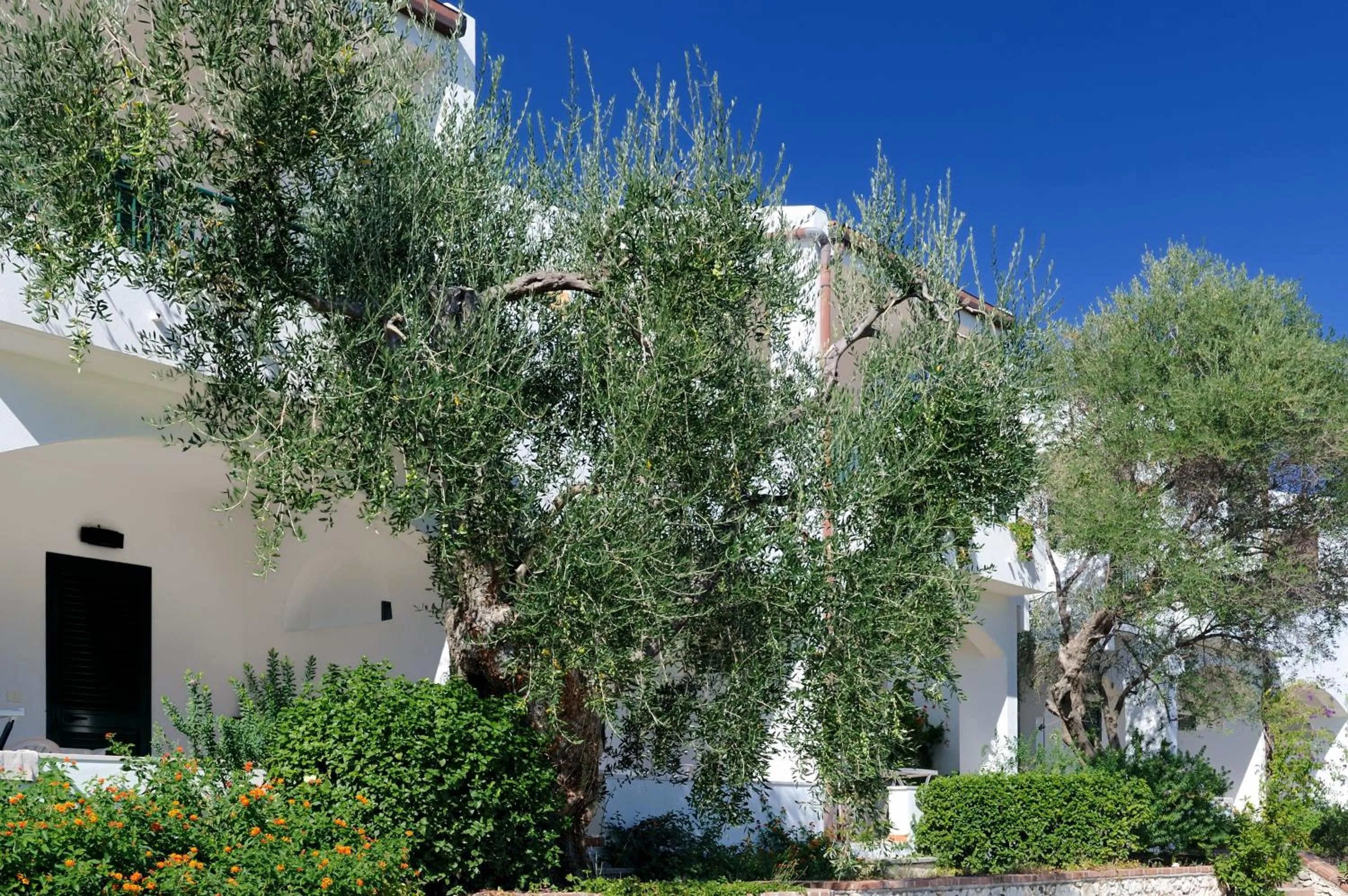 Facade/entrance in Baia Degli Aranci Suite & Apartments