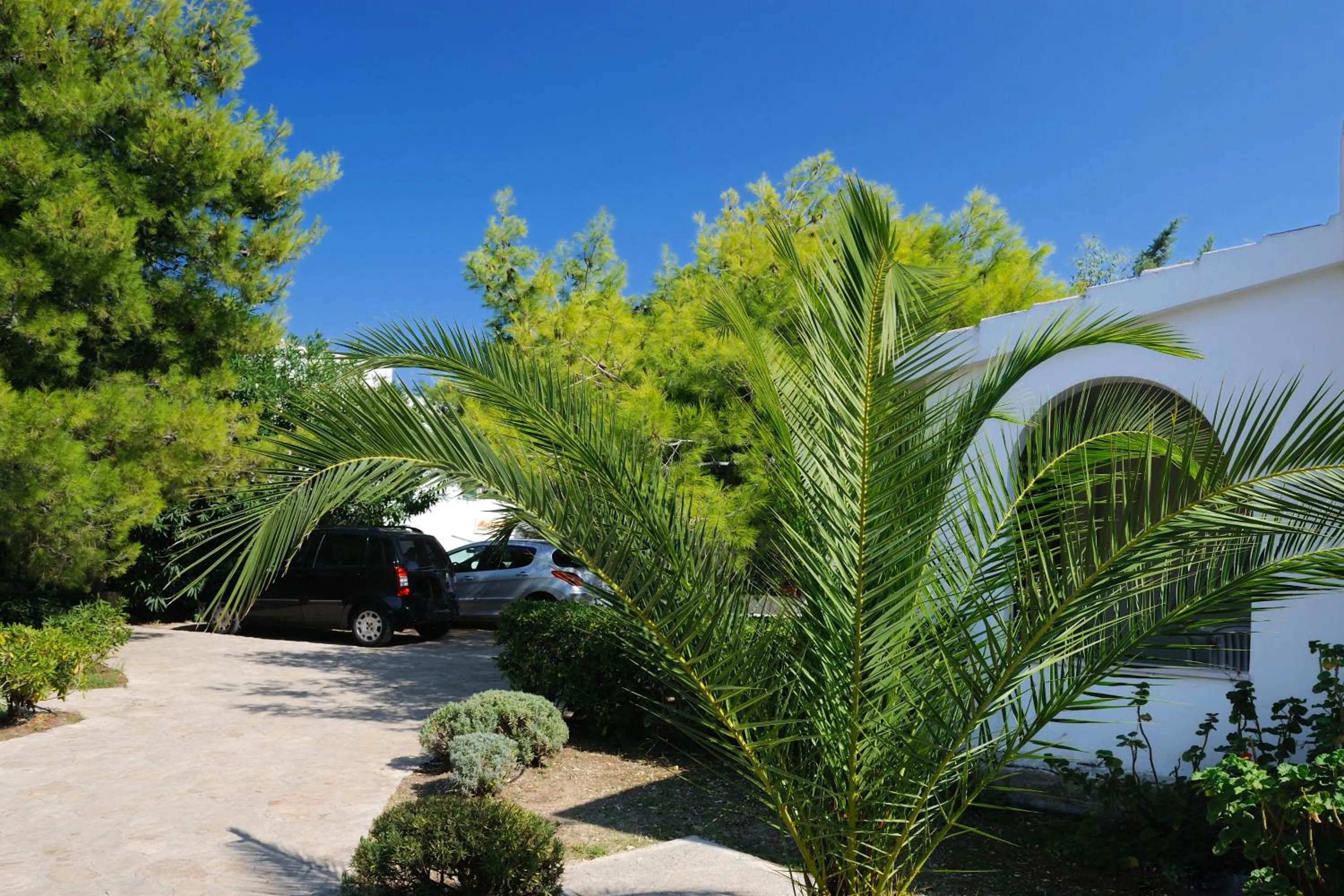 Garden in Baia Degli Aranci Suite & Apartments