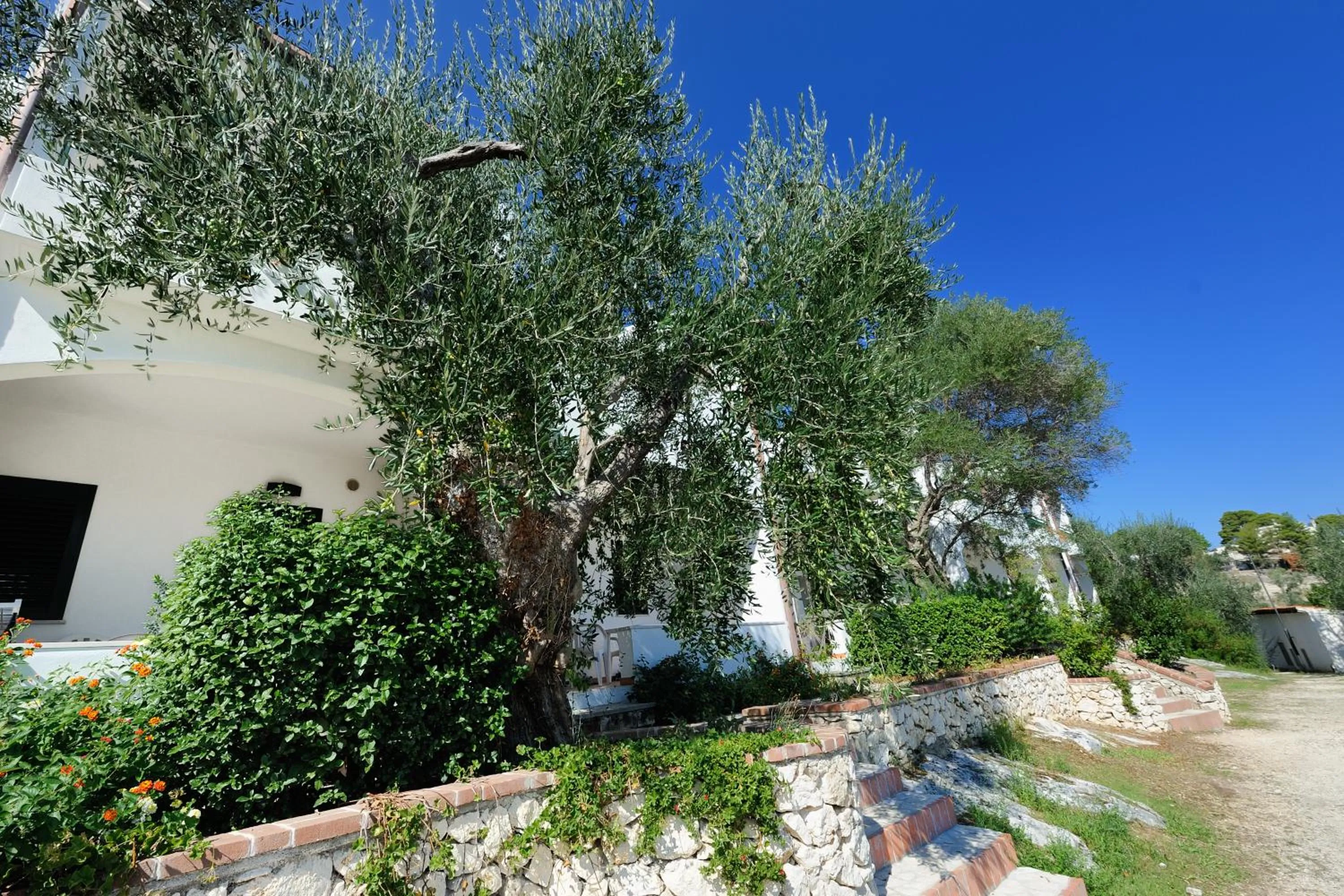 On site in Baia Degli Aranci Suite & Apartments