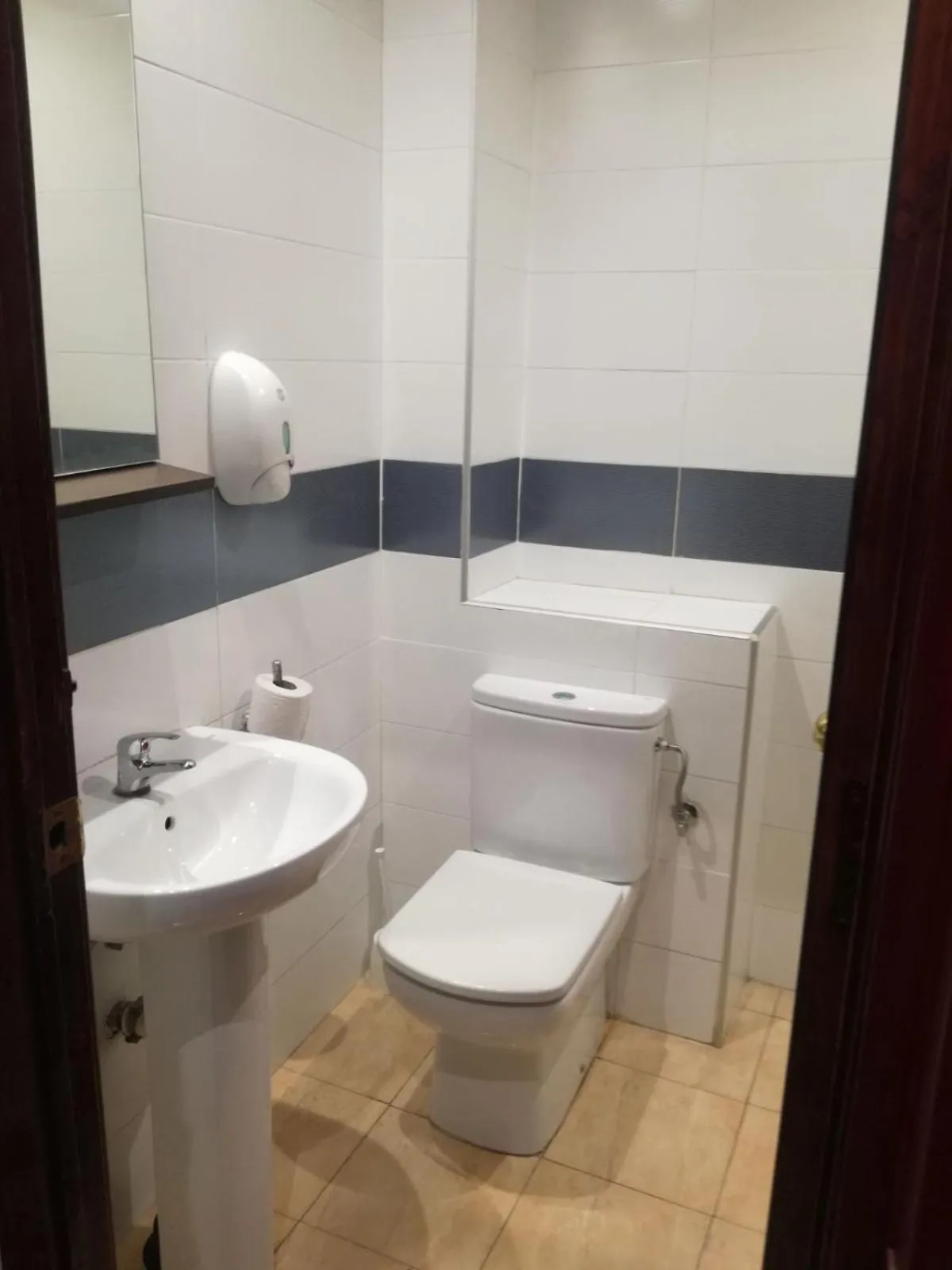 Toilet in Pensión San Ramón