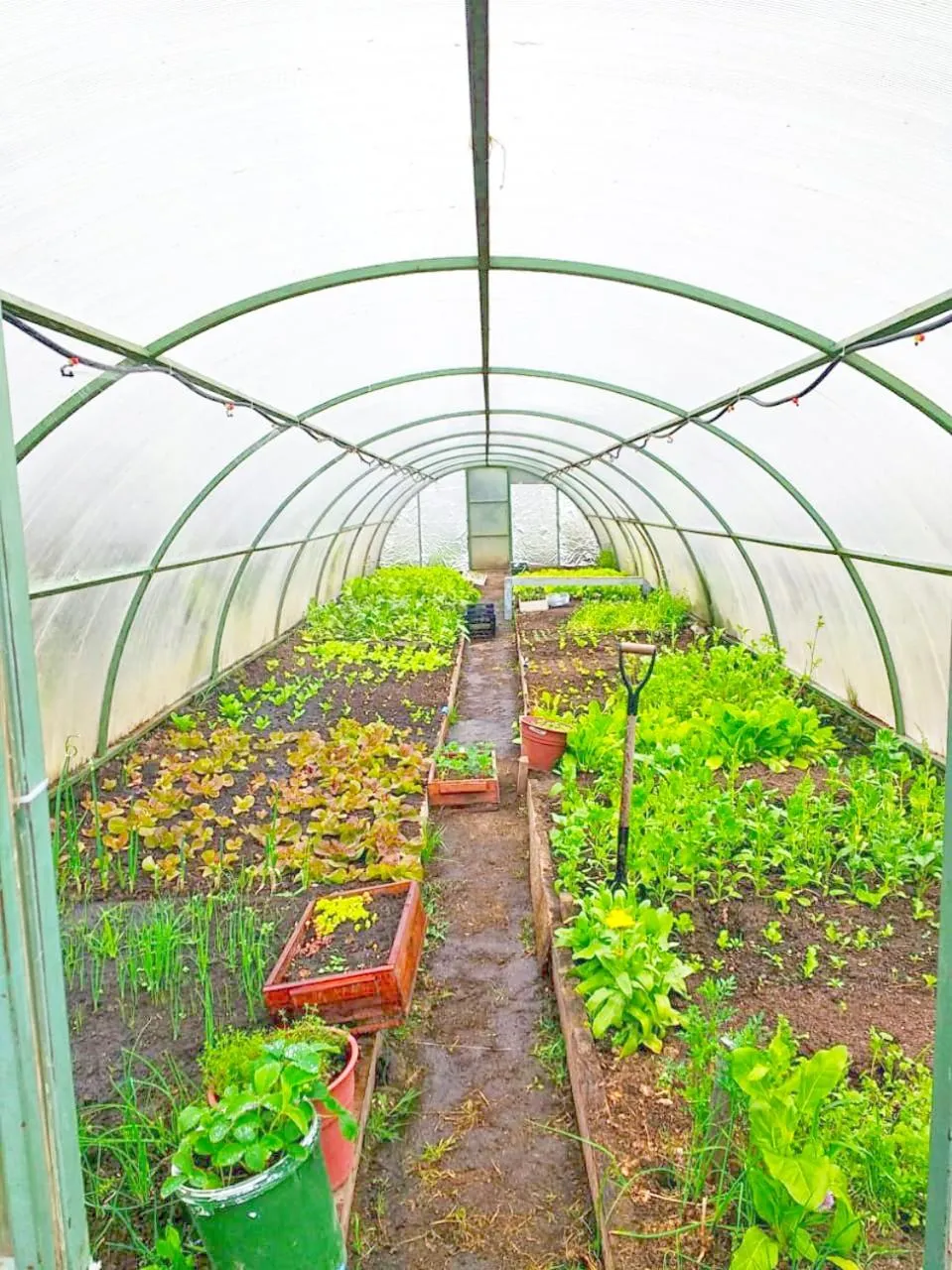 Spring in Hotel del Paine